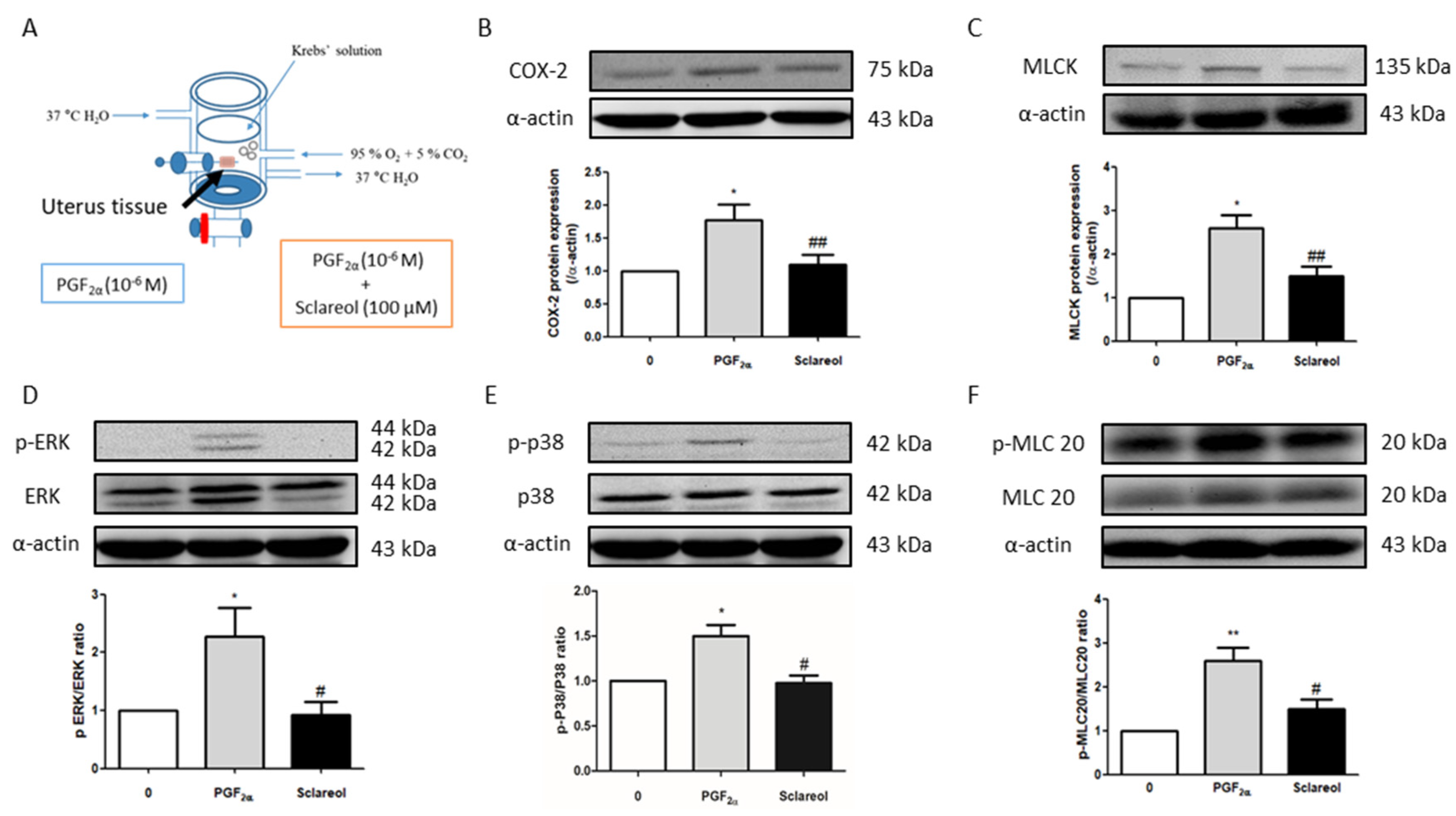 Antioxidants 09 00991 g005 Antioxidants 09 00991 g005