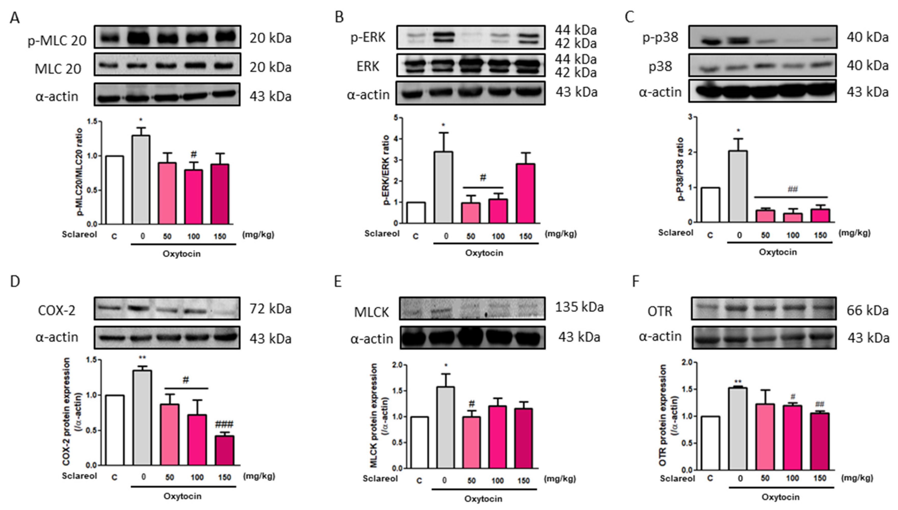 Antioxidants 09 00991 g007 Antioxidants 09 00991 g007