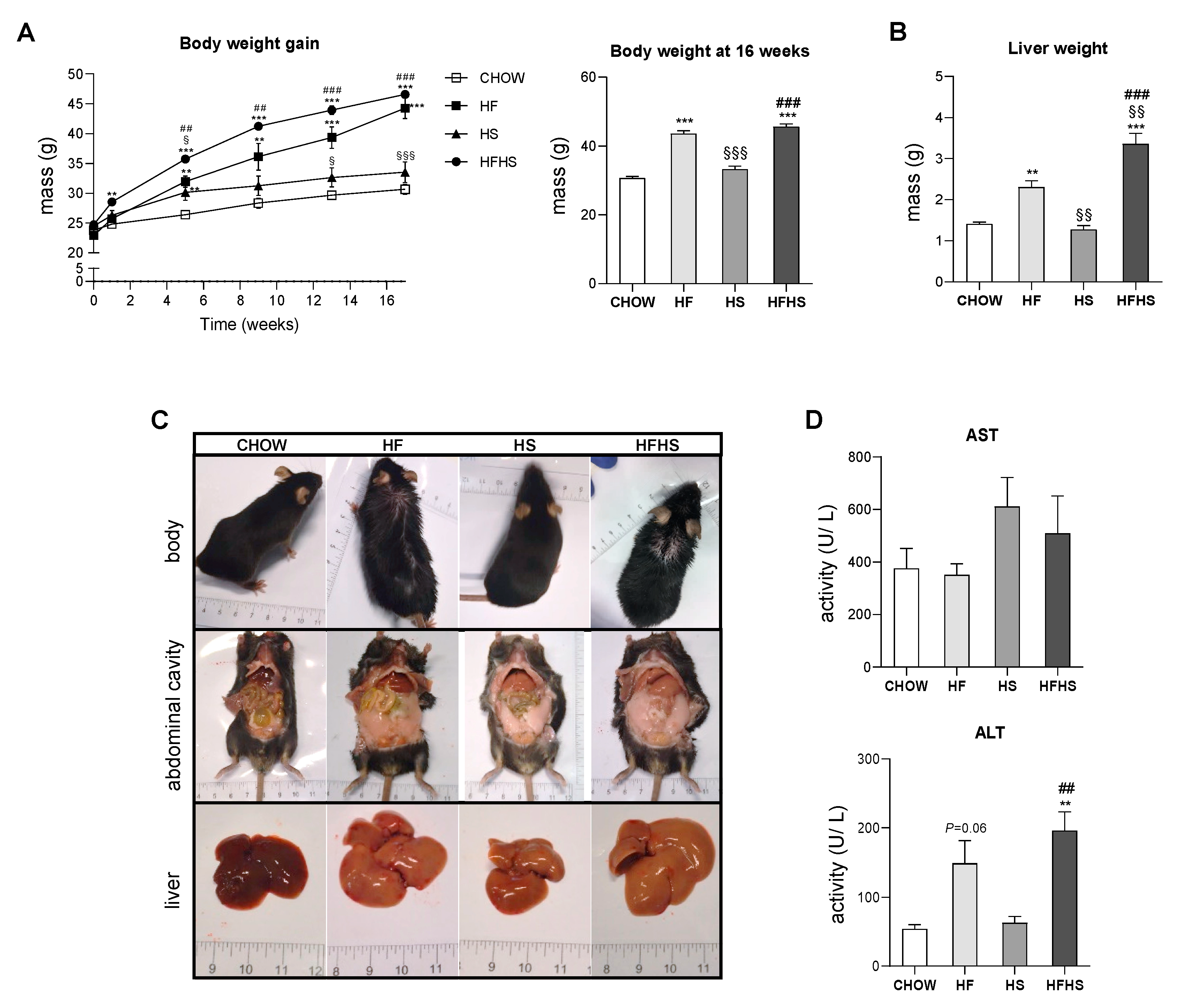 Antioxidants 09 00995 g001