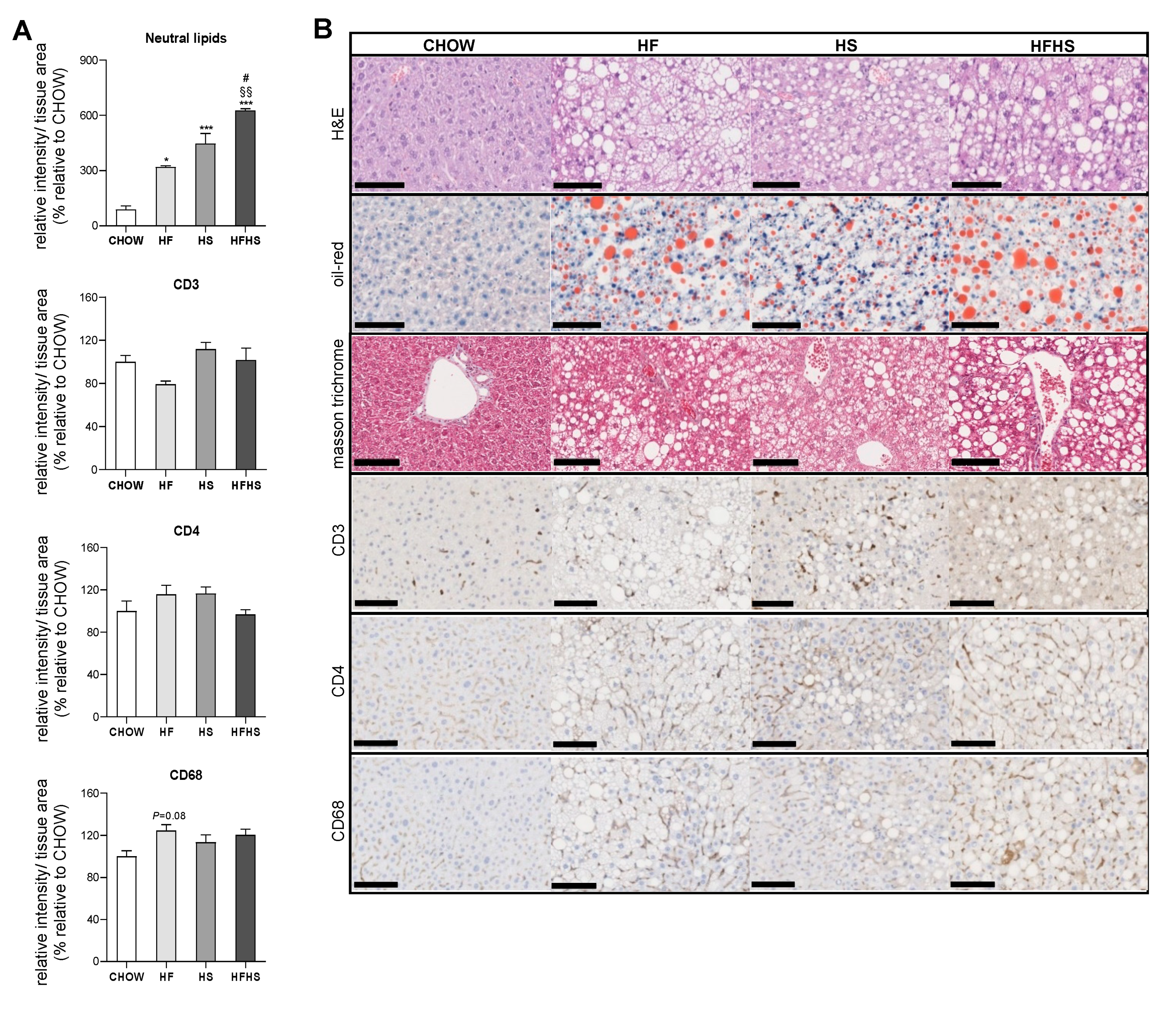 Antioxidants 09 00995 g002