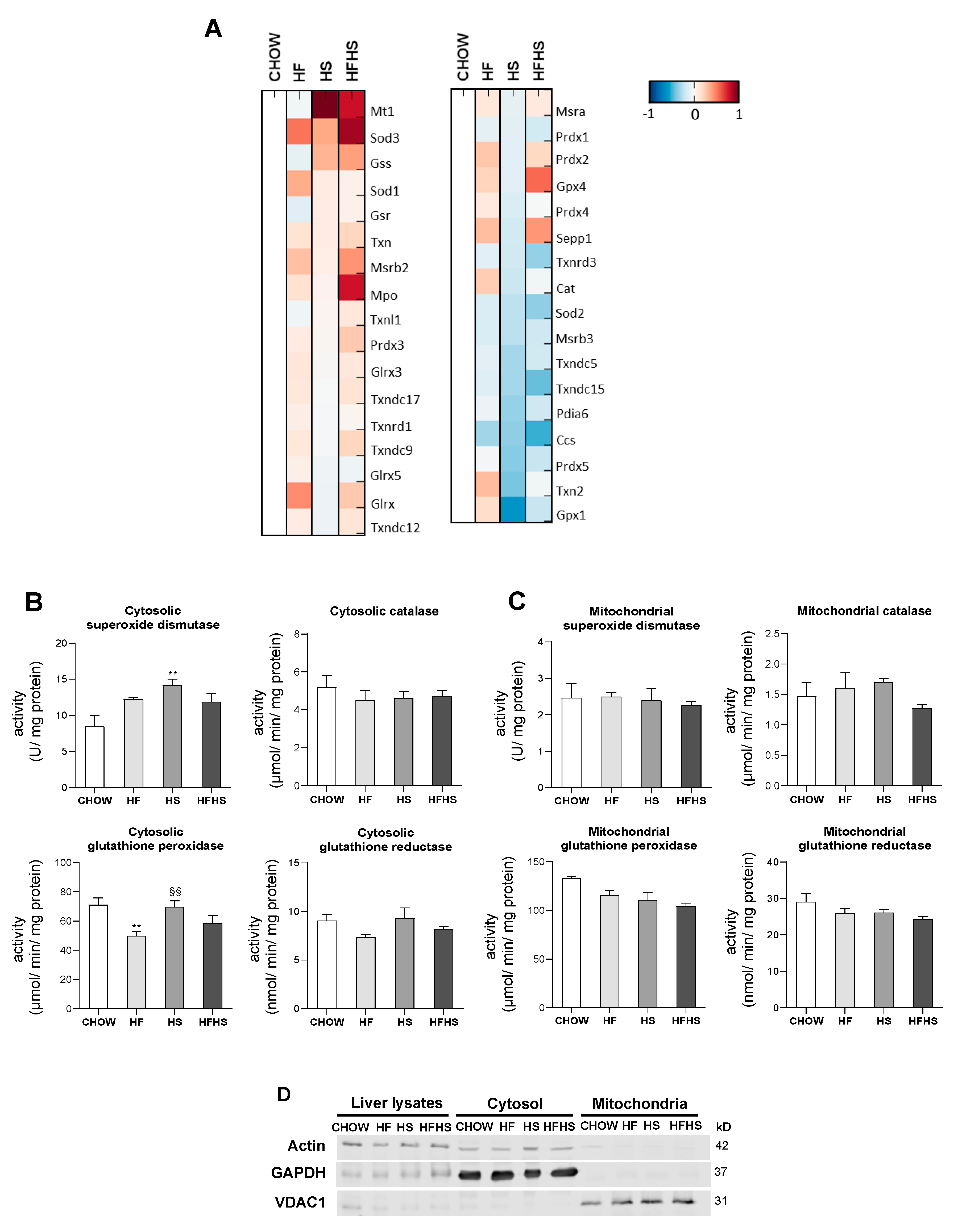 Antioxidants 09 00995 g007