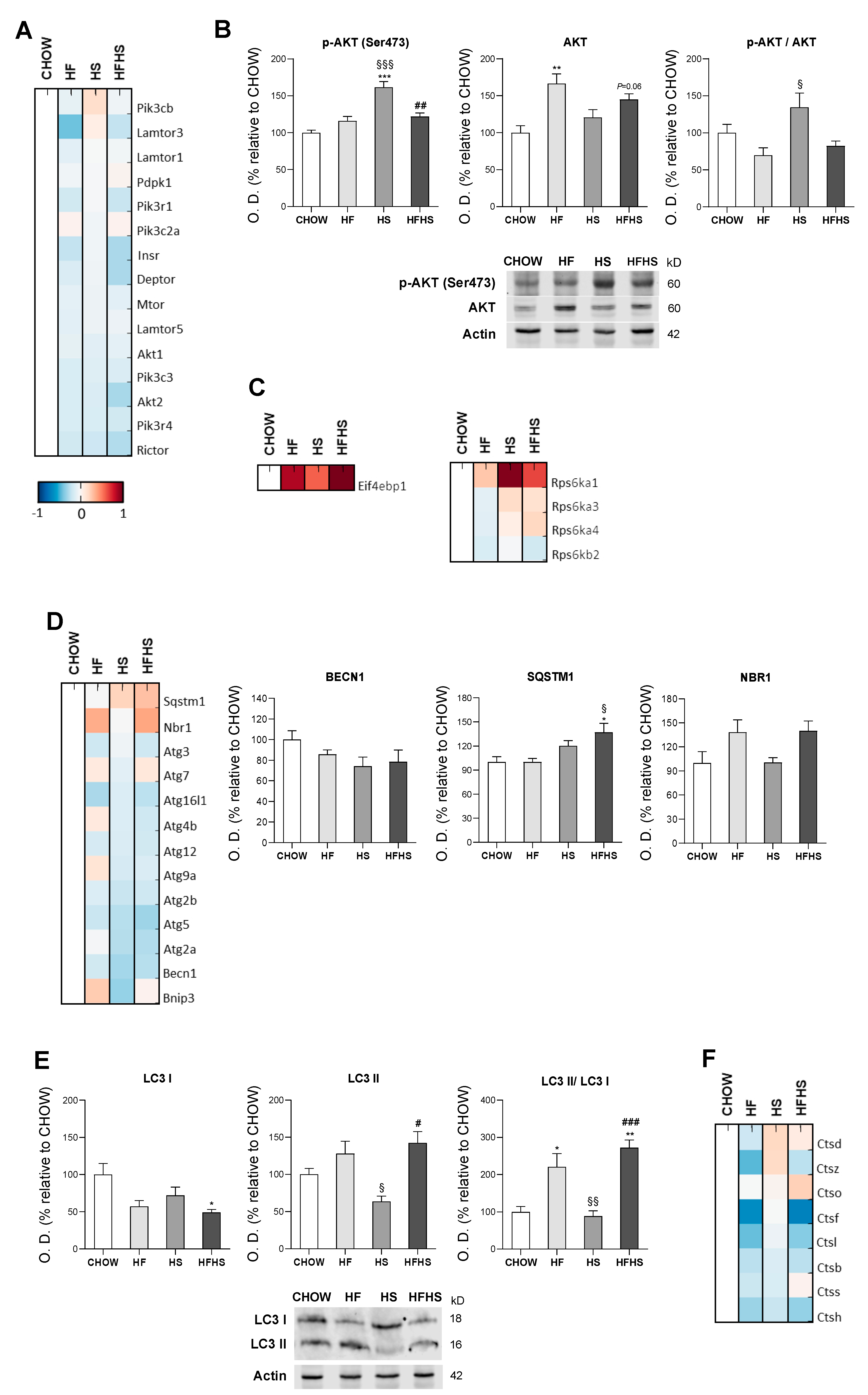 Antioxidants 09 00995 g008