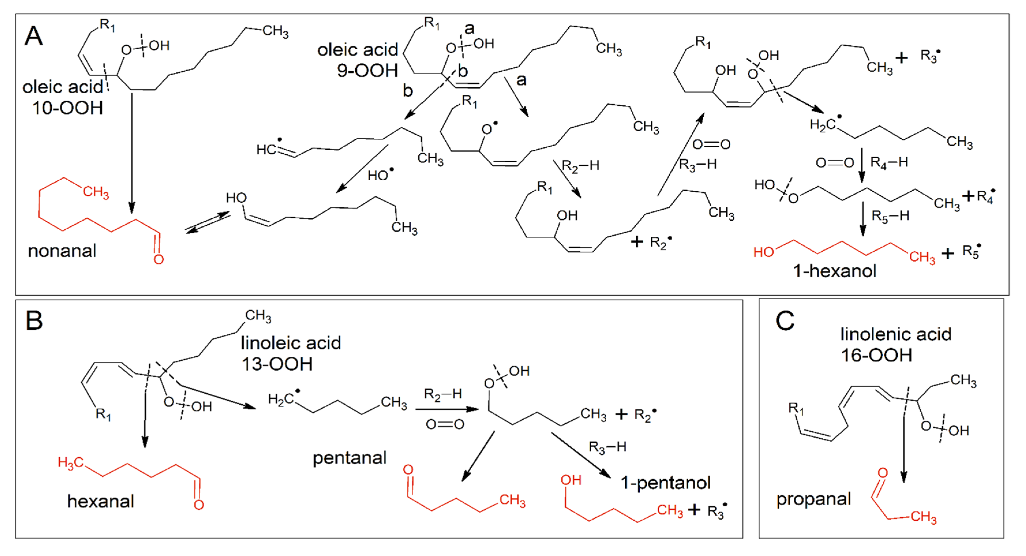 Antioxidants Free FullText Radical Scavenging Activity of Olive