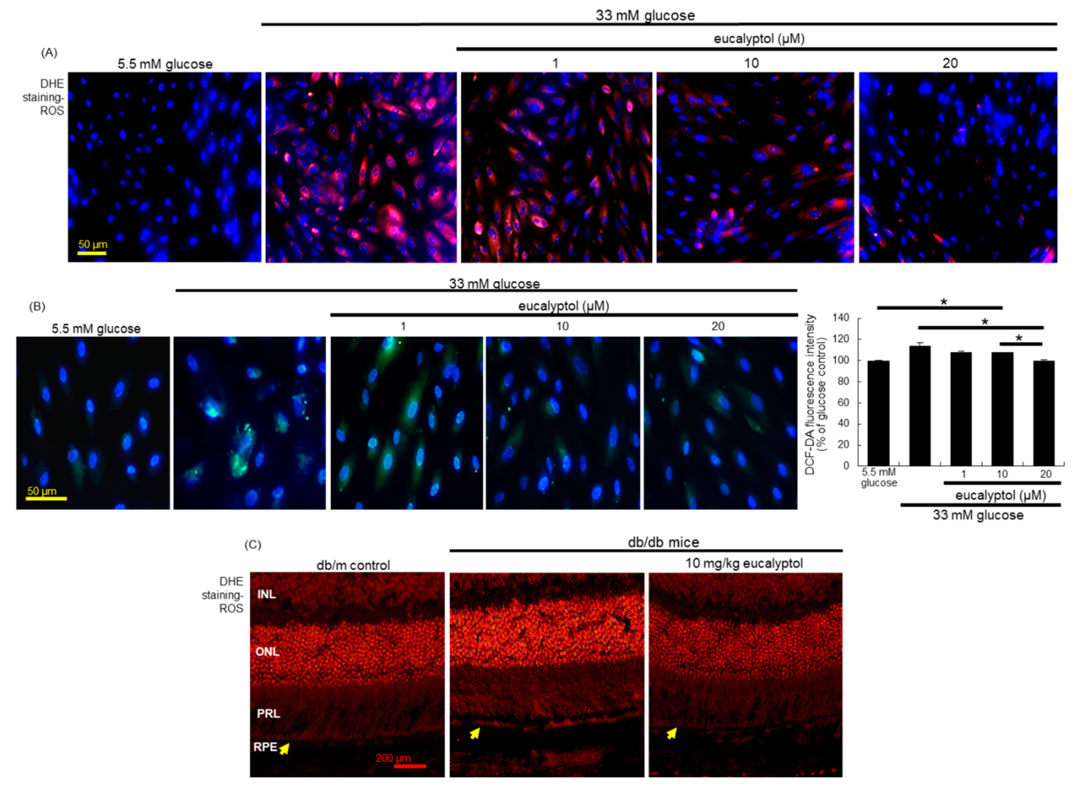 Antioxidants 09 01000 g005