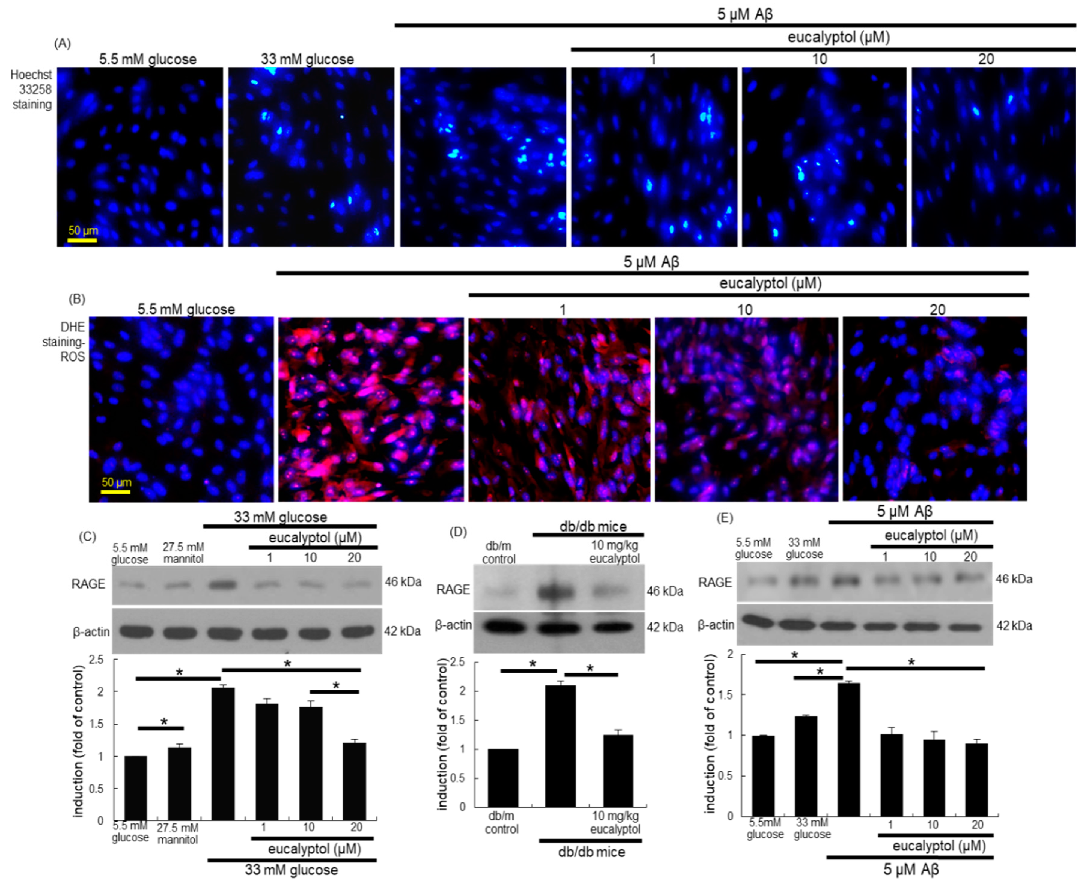 Antioxidants 09 01000 g009