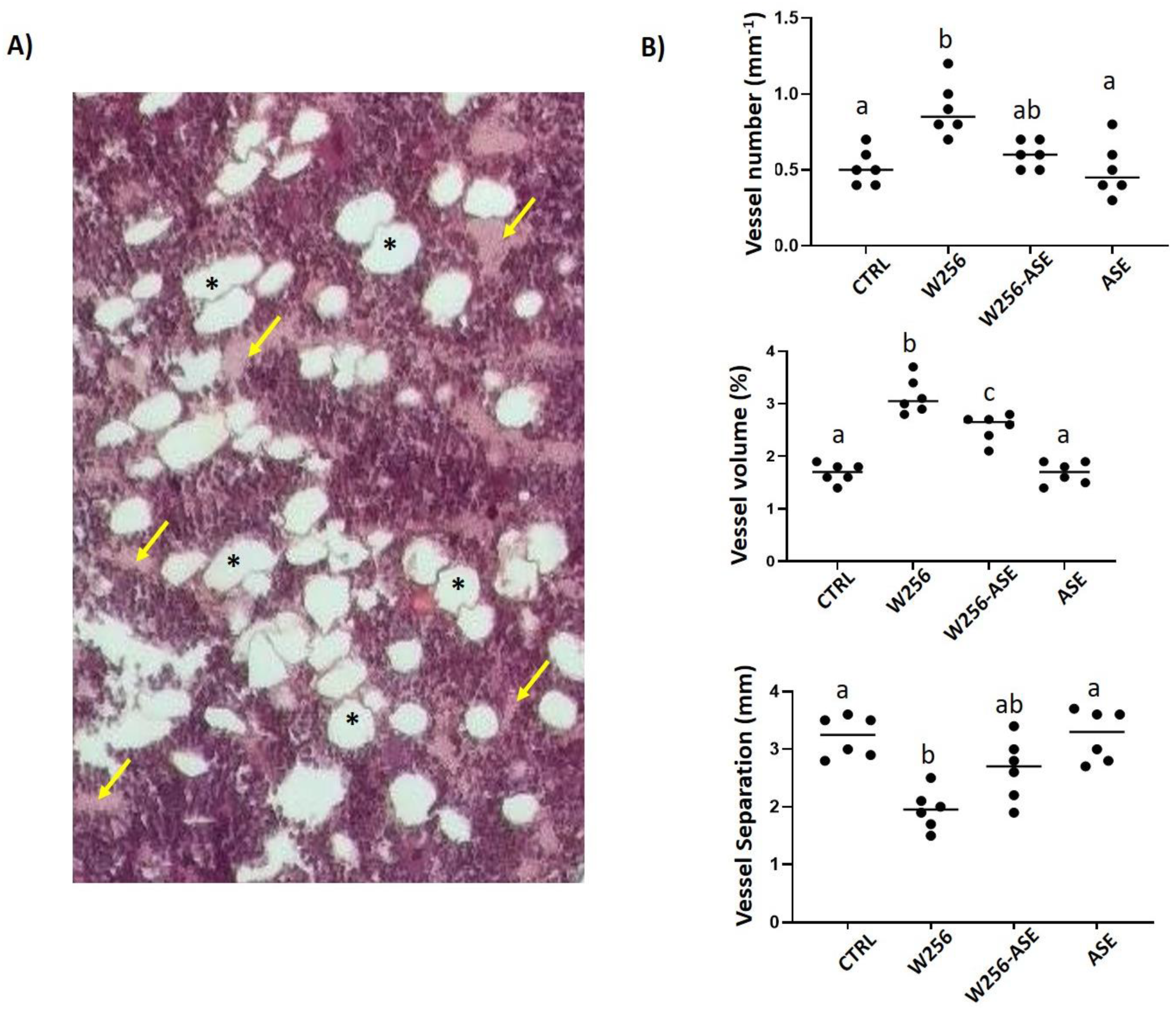 Antioxidants 09 01003 g006 Antioxidants 09 01003 g006