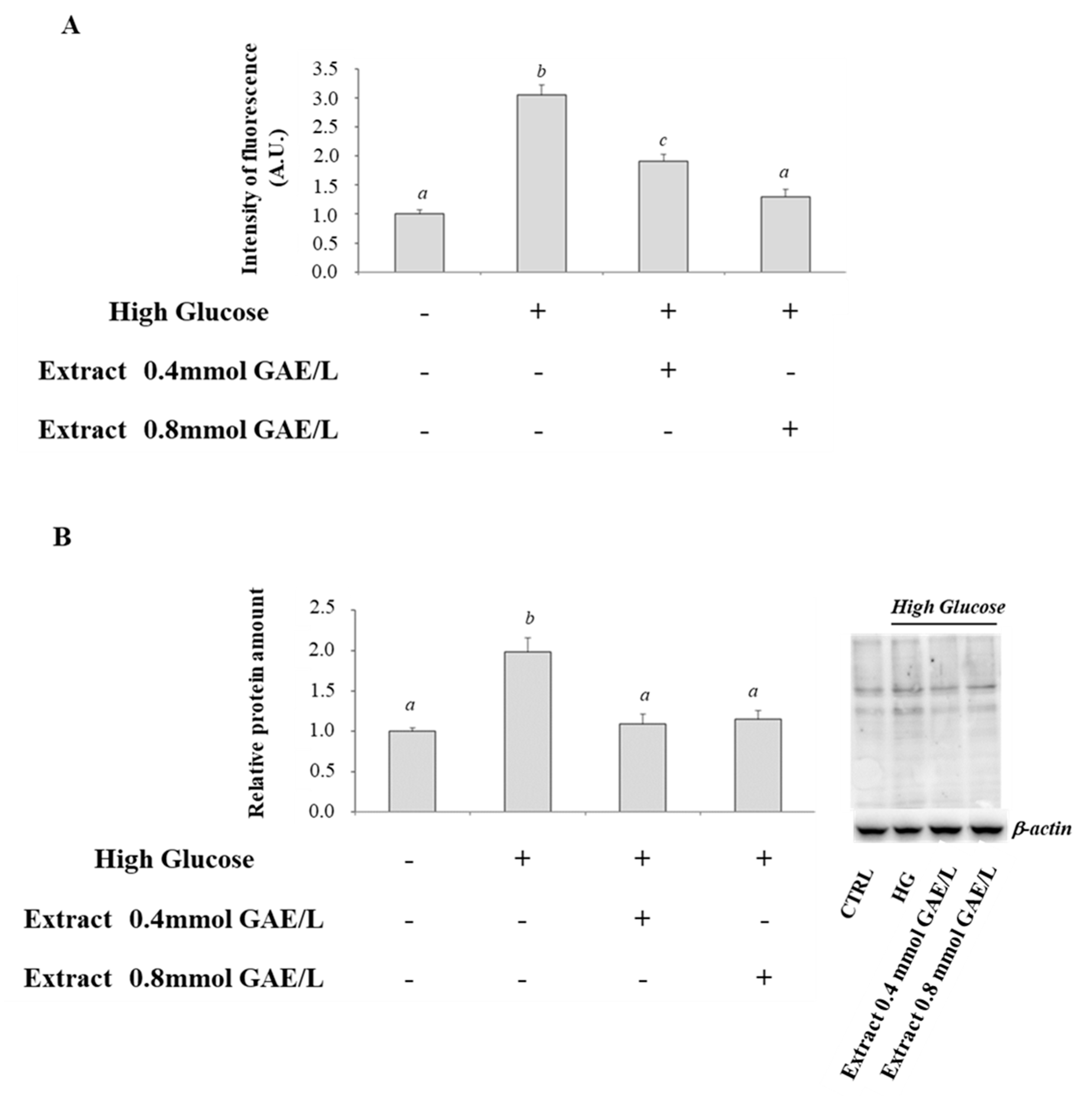 Antioxidants 09 01006 g002 Antioxidants 09 01006 g002