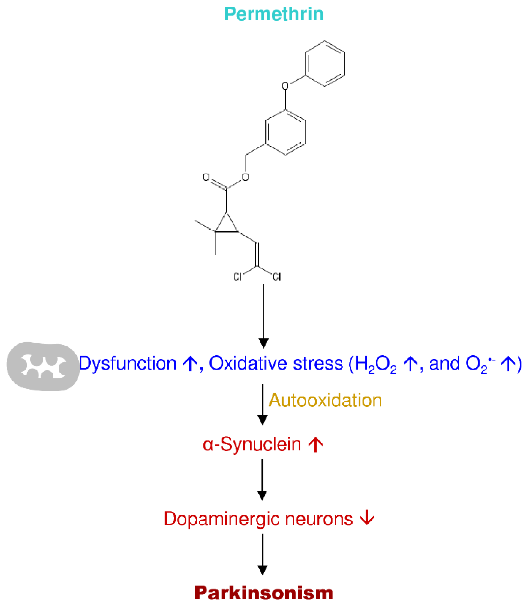 Antioxidants 09 01007 g008 Antioxidants 09 01007 g008