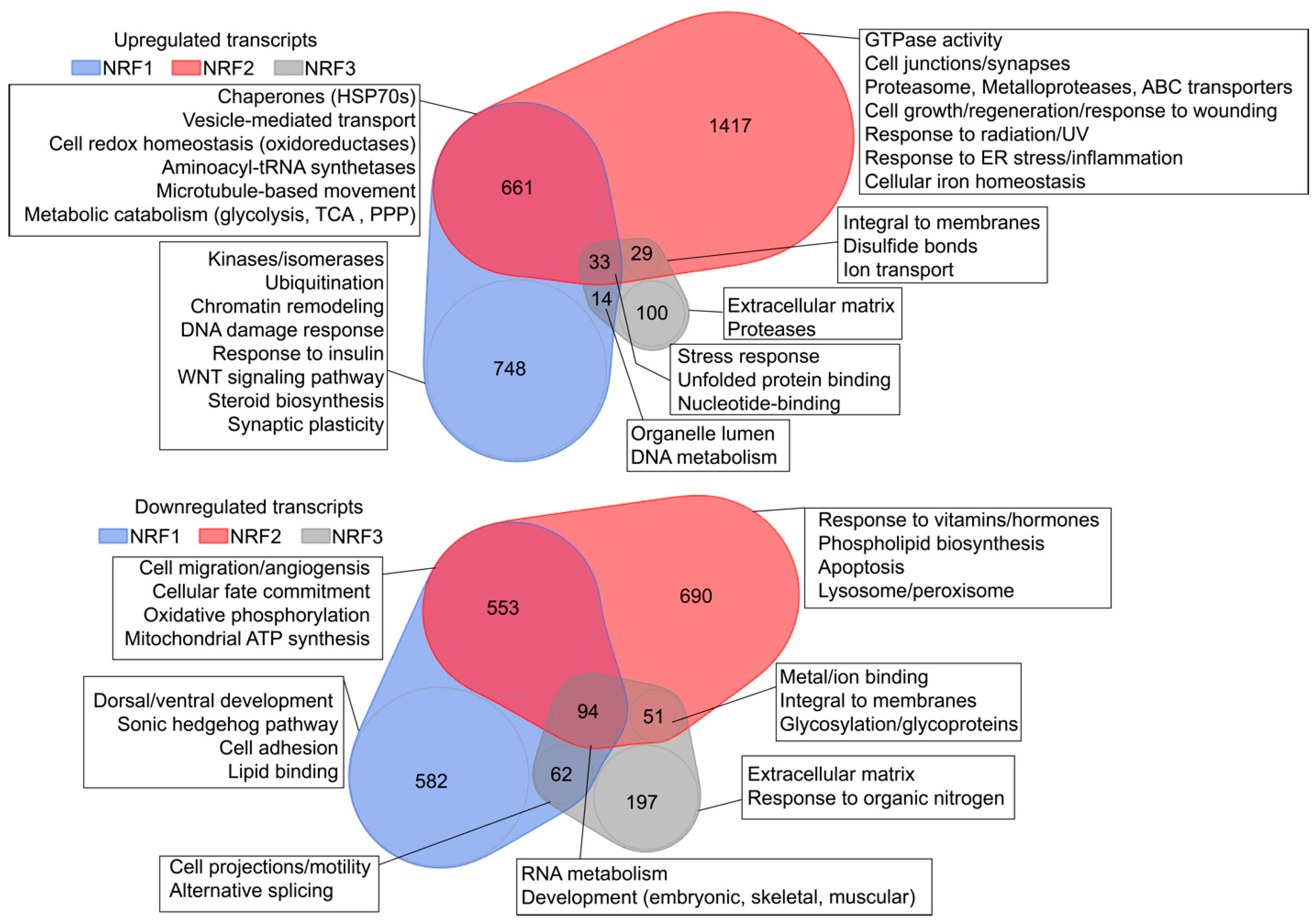 Antioxidants 09 01025 g003