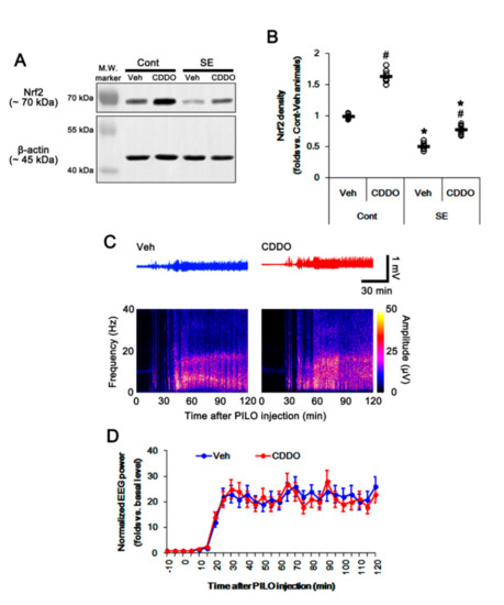 CDDO-Me Distinctly Regulates Regional Specific Astroglial