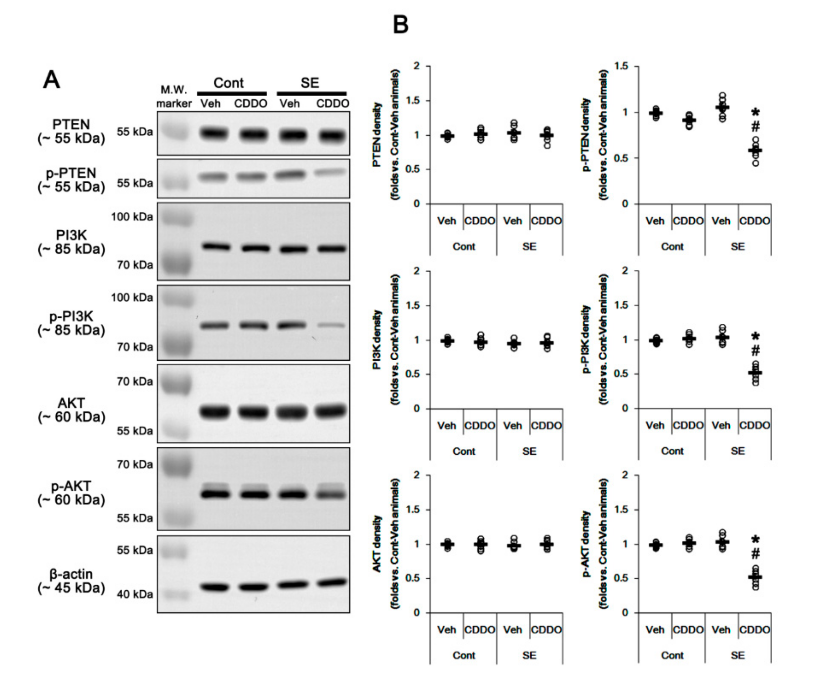 Antioxidants 09 01026 g003