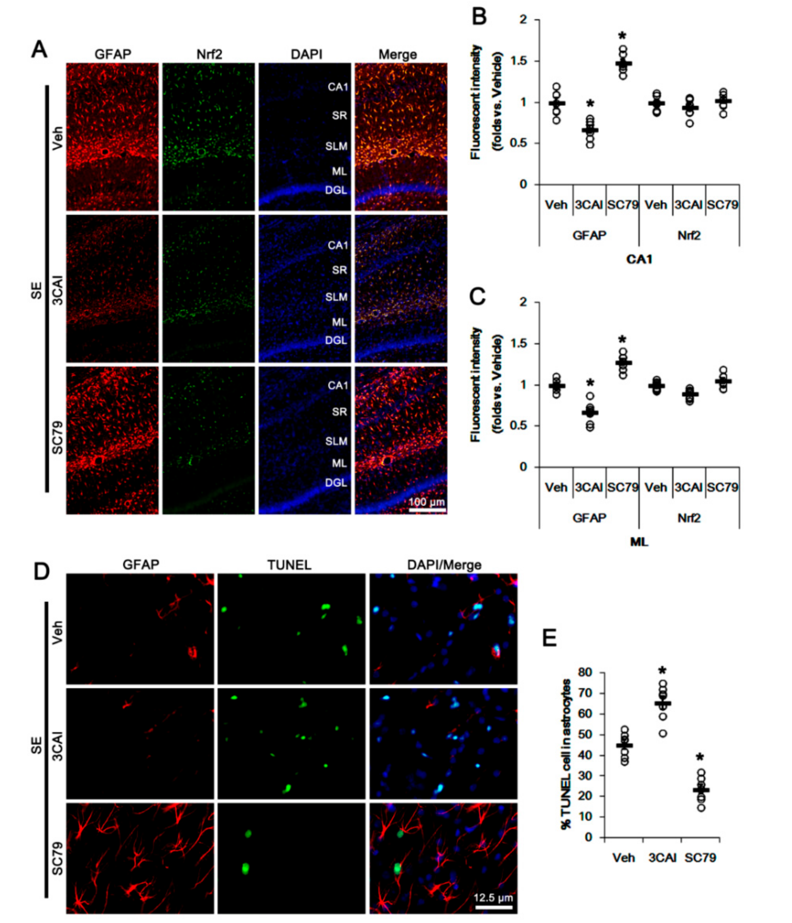 Antioxidants 09 01026 g004