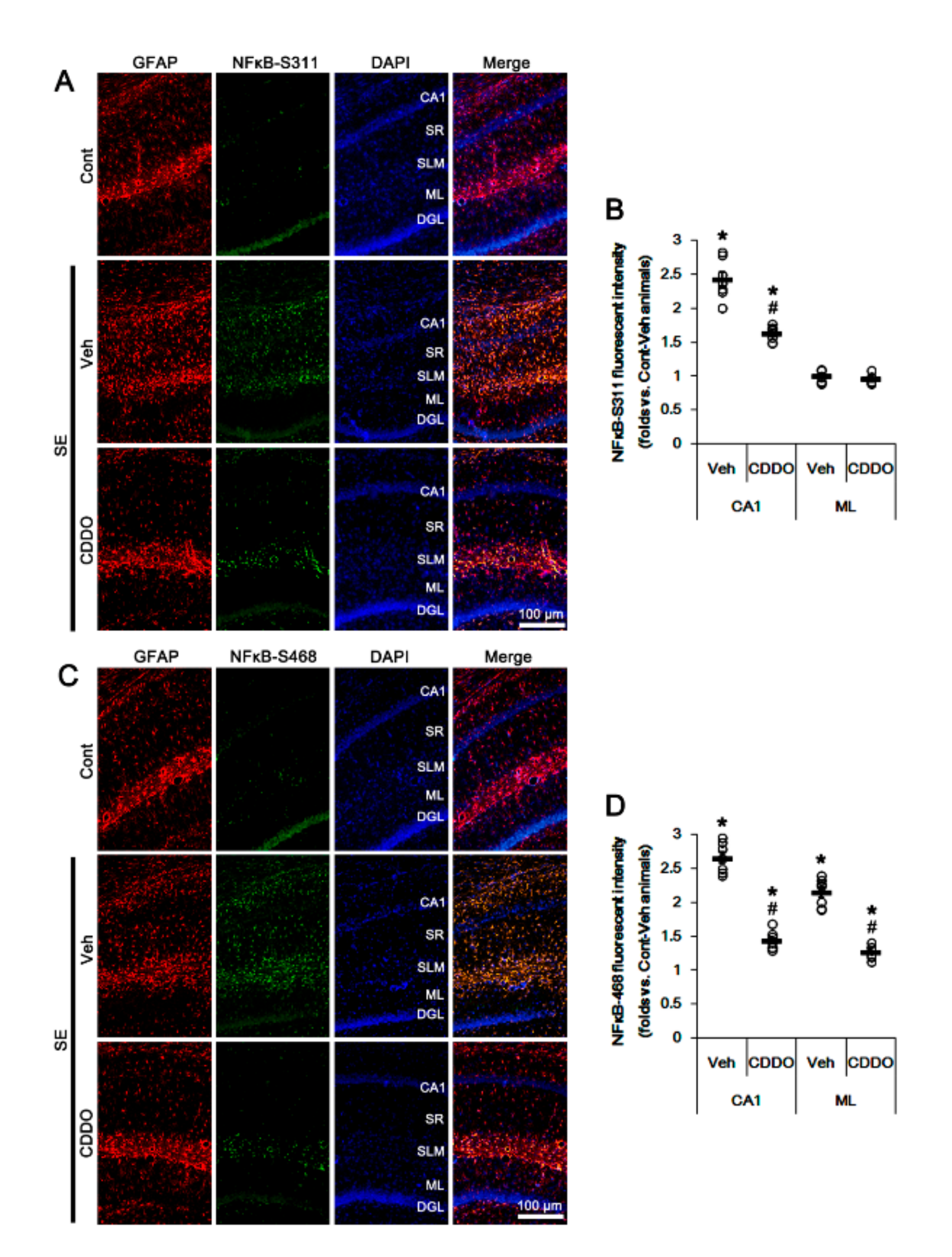 Antioxidants 09 01026 g005