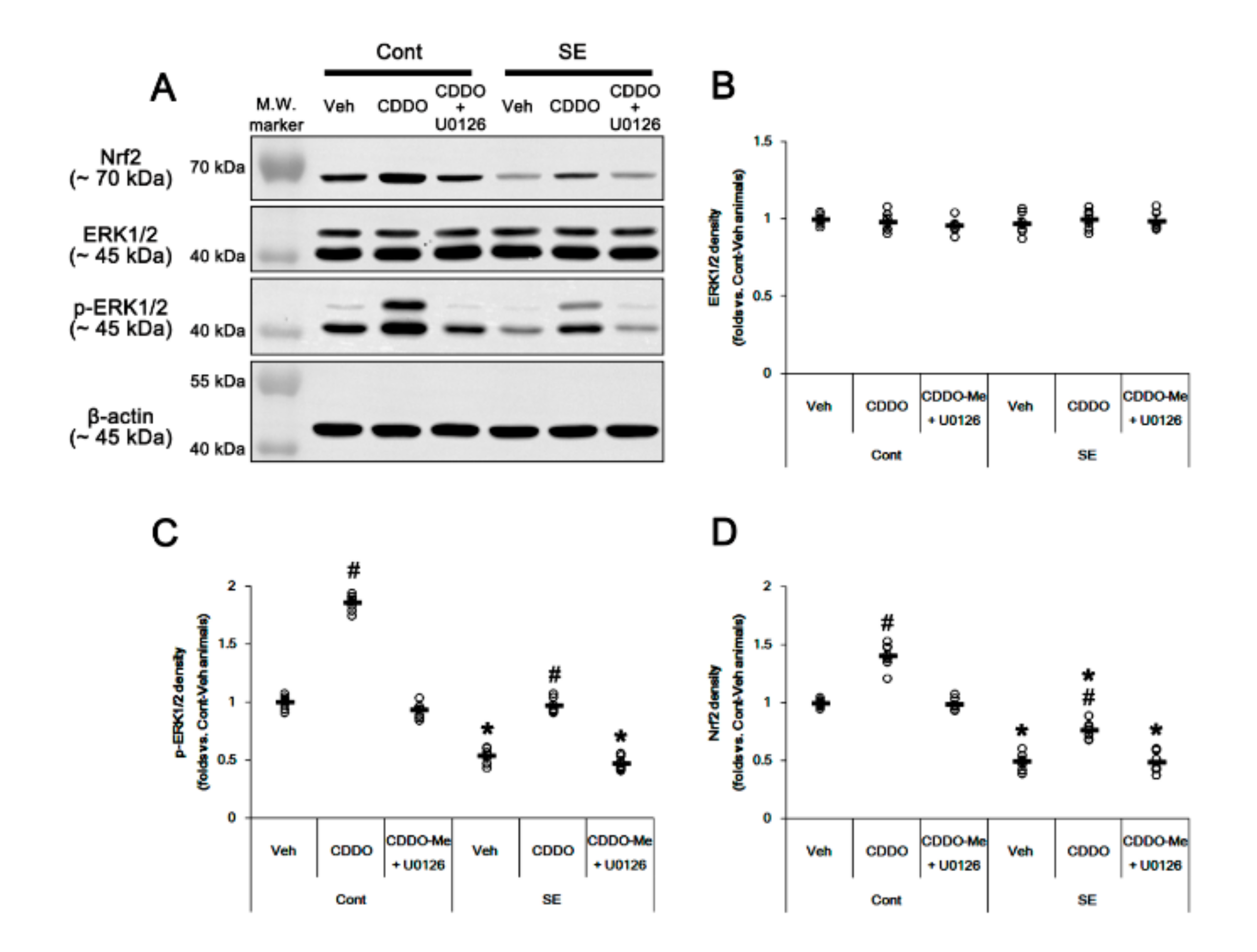Antioxidants 09 01026 g006