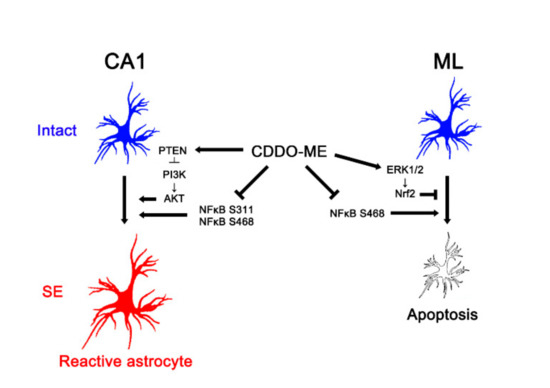 diagramのJKなど Broad-spectrum inhibition of influenza A virus replication by
