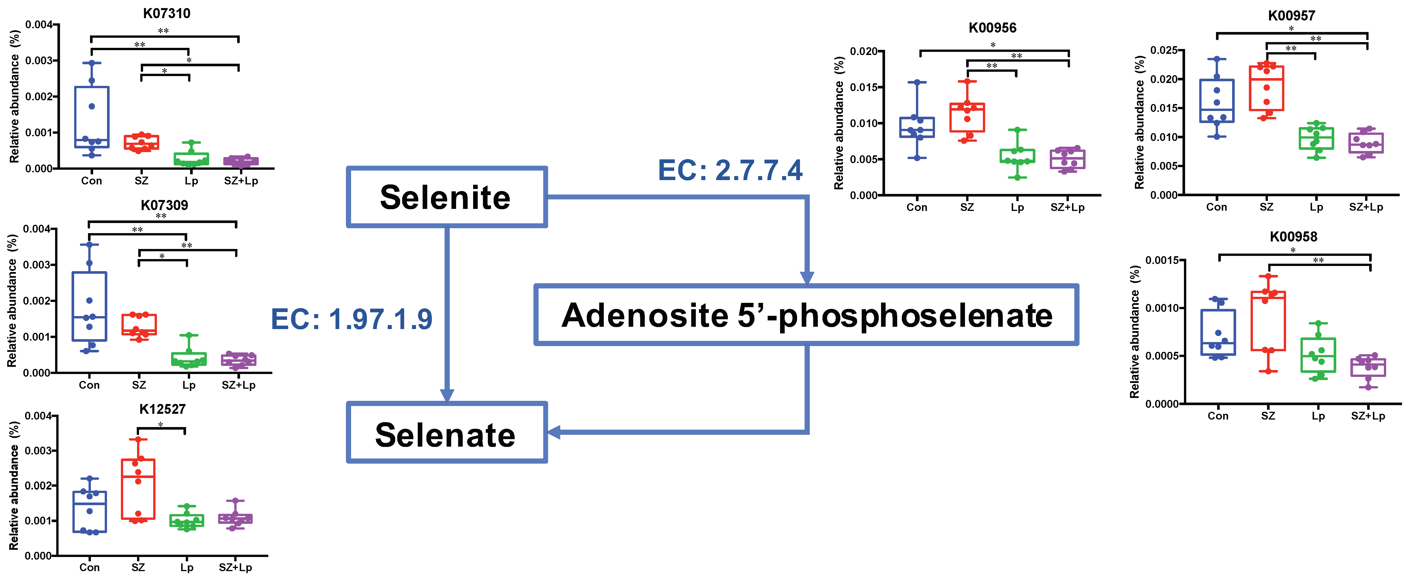 Antioxidants 09 01028 g006 Antioxidants 09 01028 g006