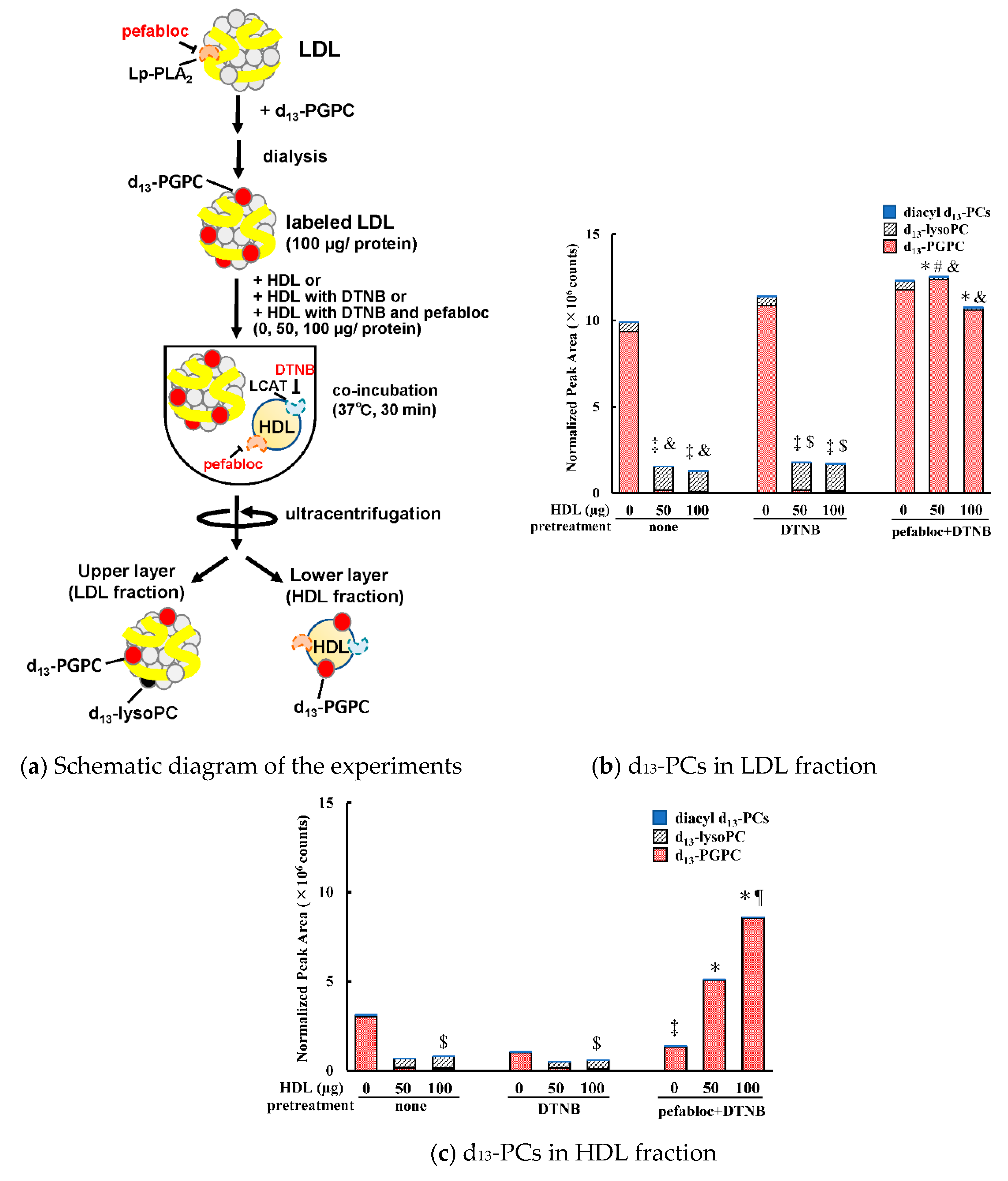 Antioxidants 09 01045 g004 Antioxidants 09 01045 g004