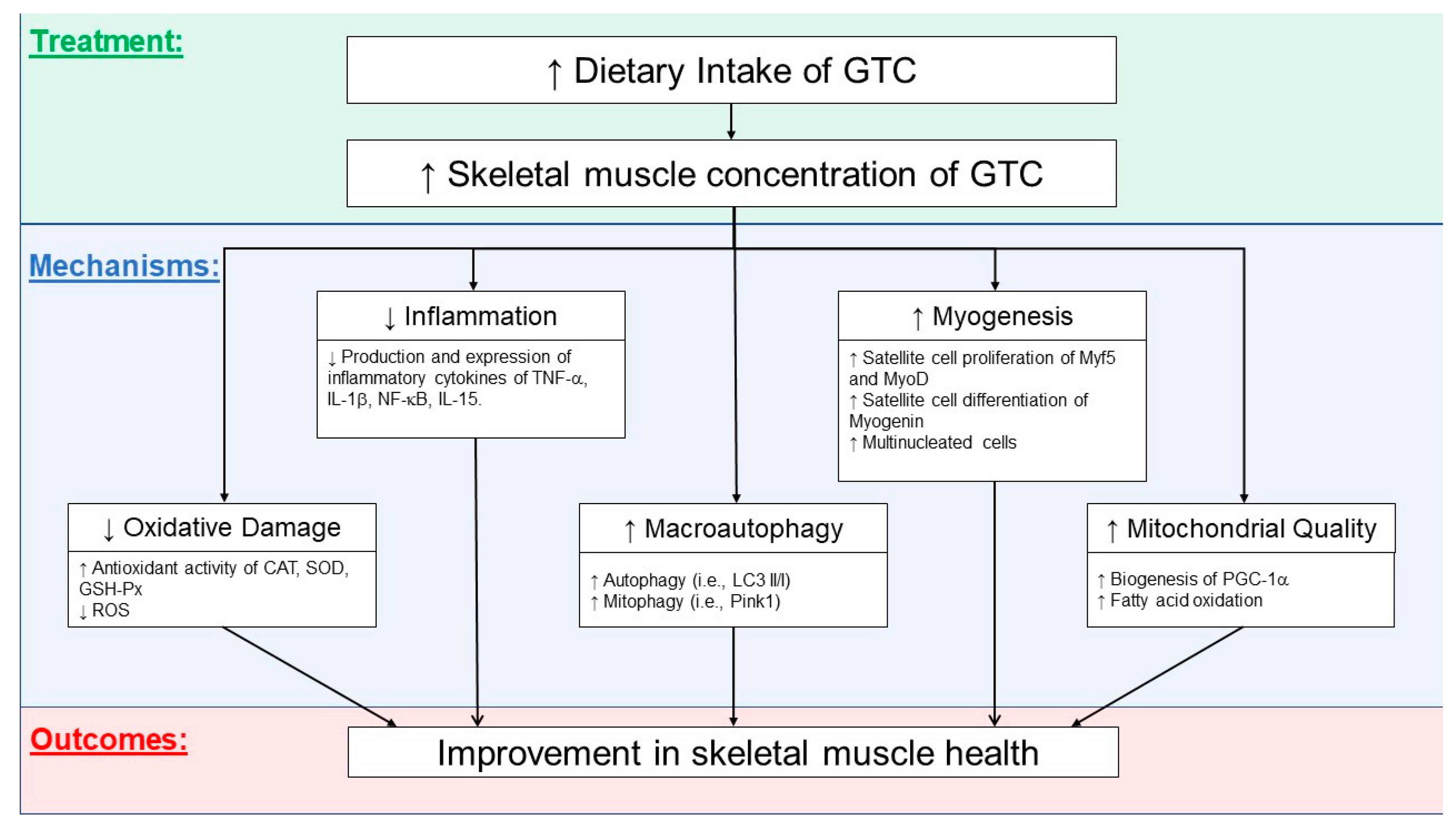 Antioxidants 09 01050 g001