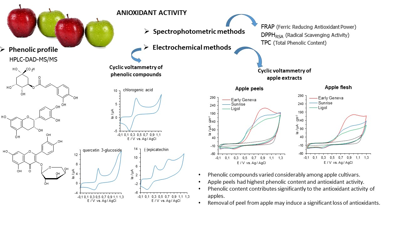 Antioxidants Free FullText Electroactive Phenolic Contributors and