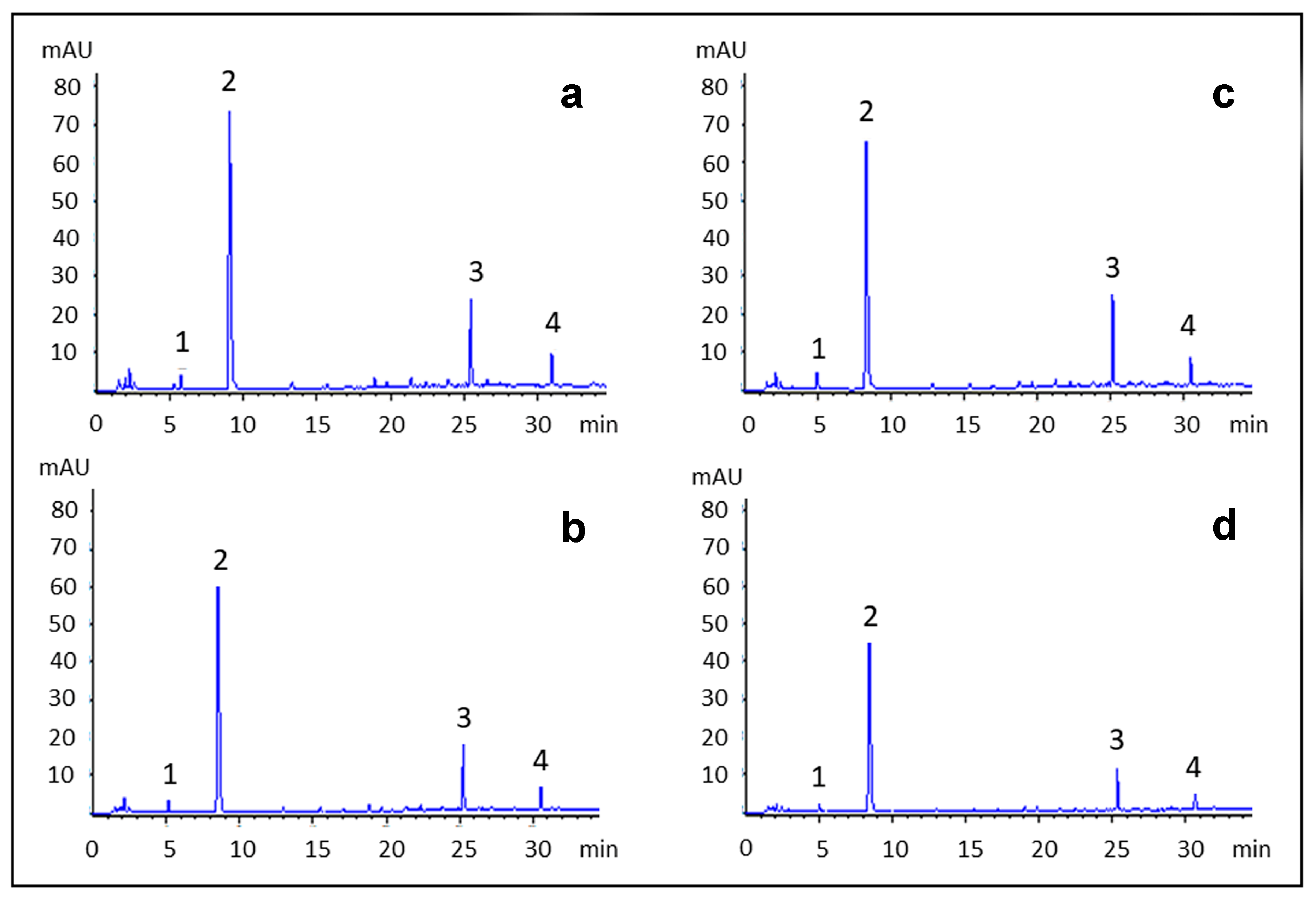 Antioxidants 09 01055 g006