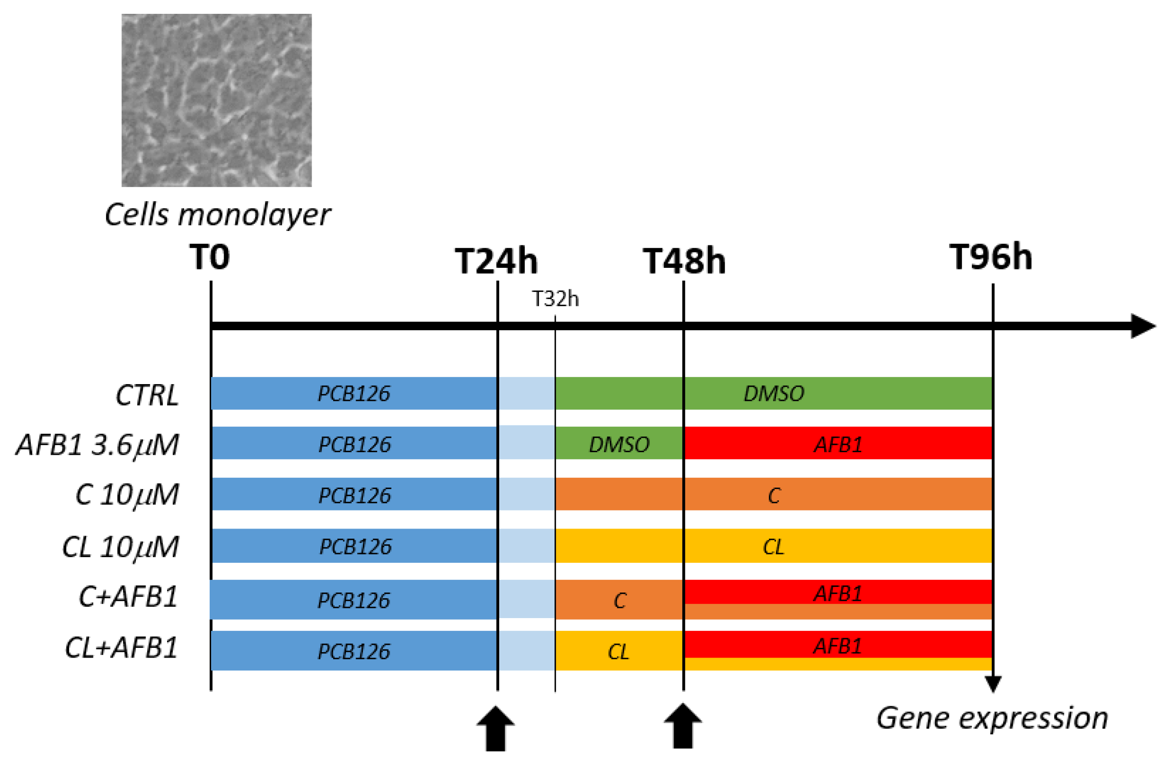 Antioxidants 09 01059 g001