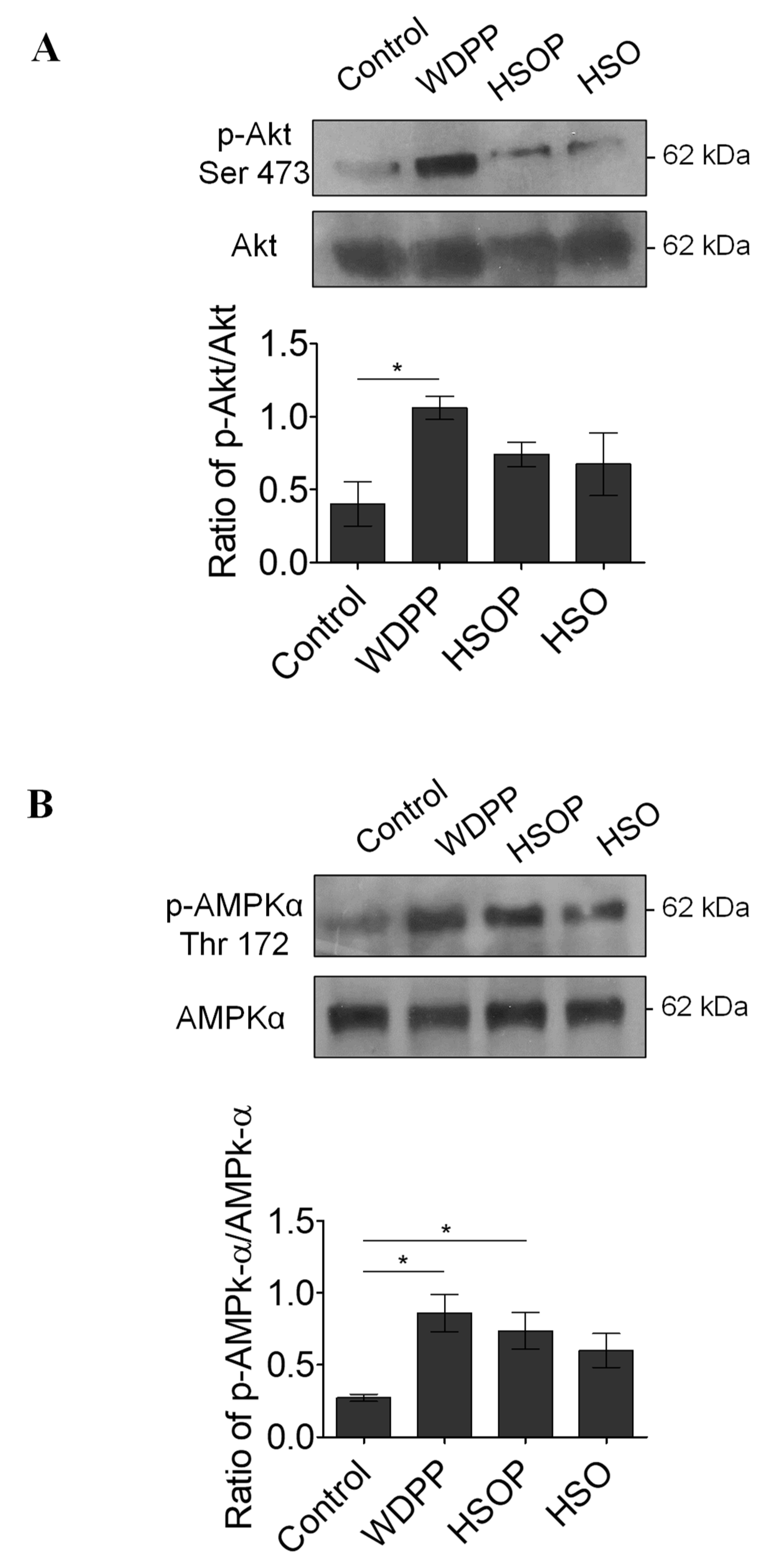 Antioxidants 09 01066 g008 Antioxidants 09 01066 g008
