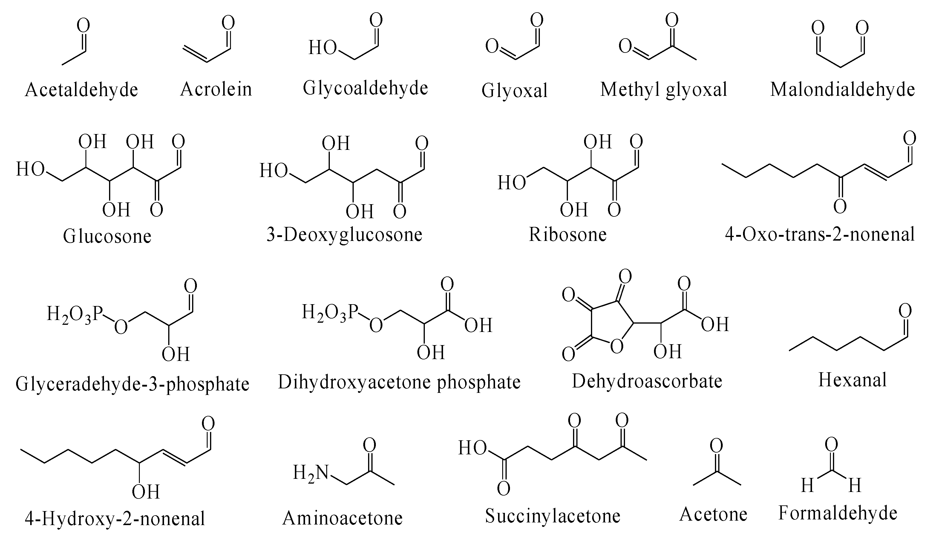 Antioxidants 09 01075 g001