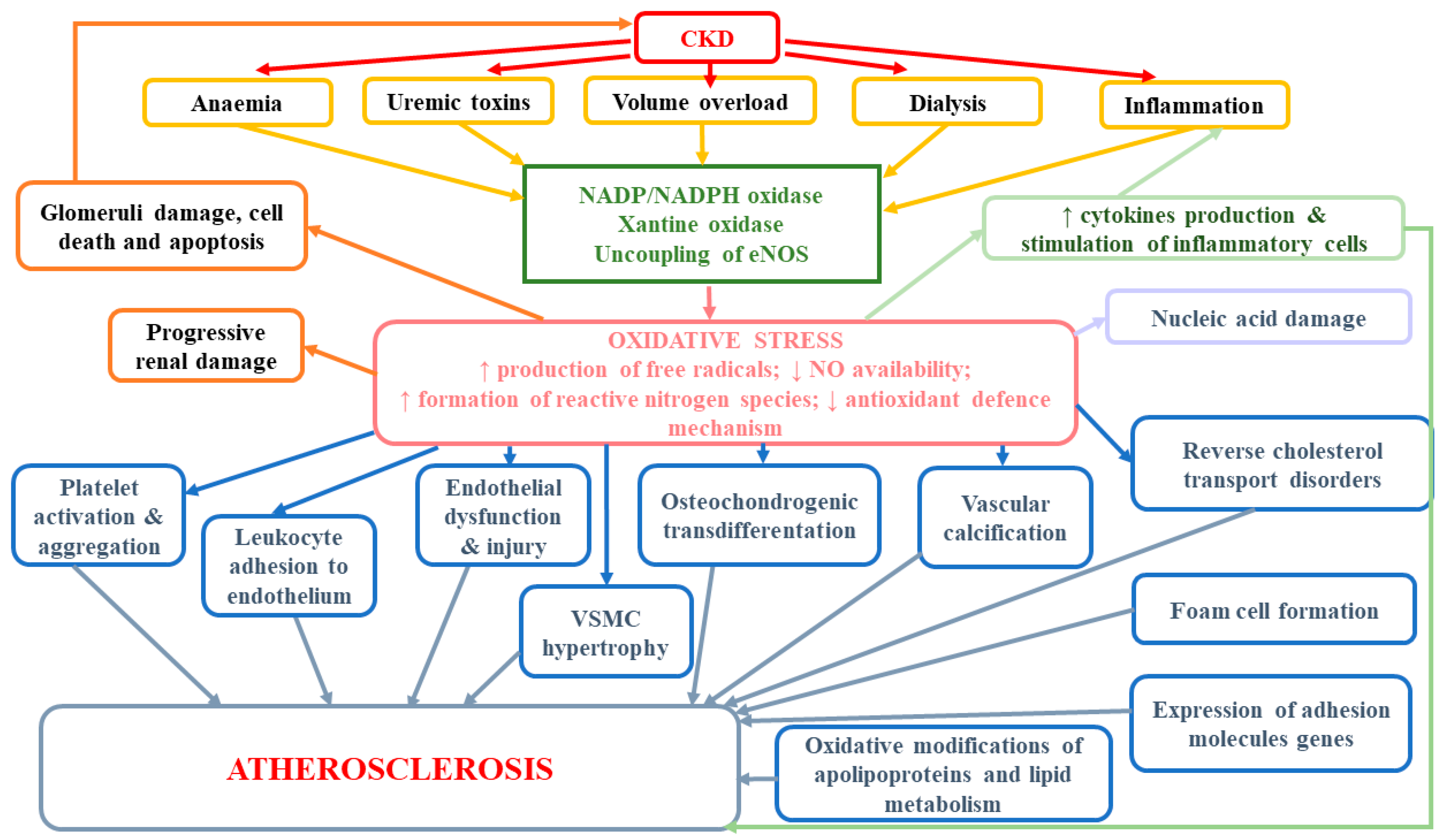 Antioxidants 09 01079 g002 Antioxidants 09 01079 g002