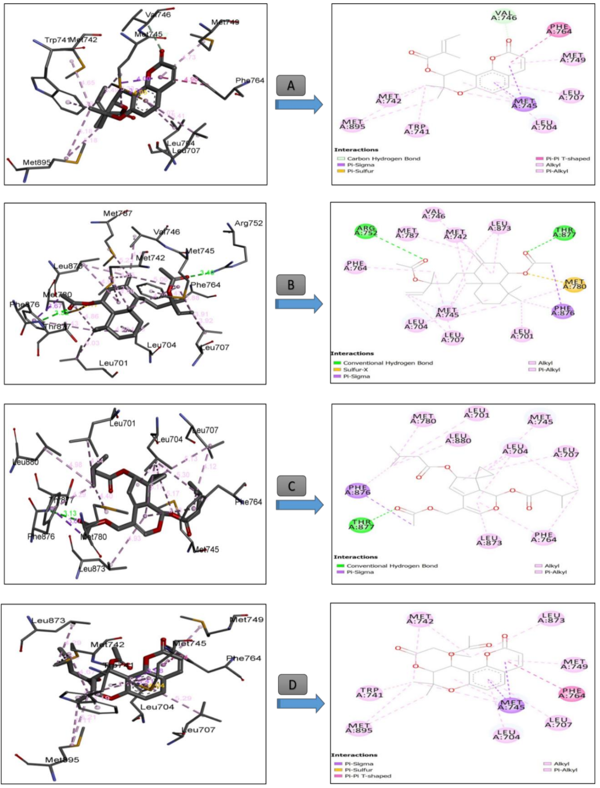 Antioxidants 09 01089 g006
