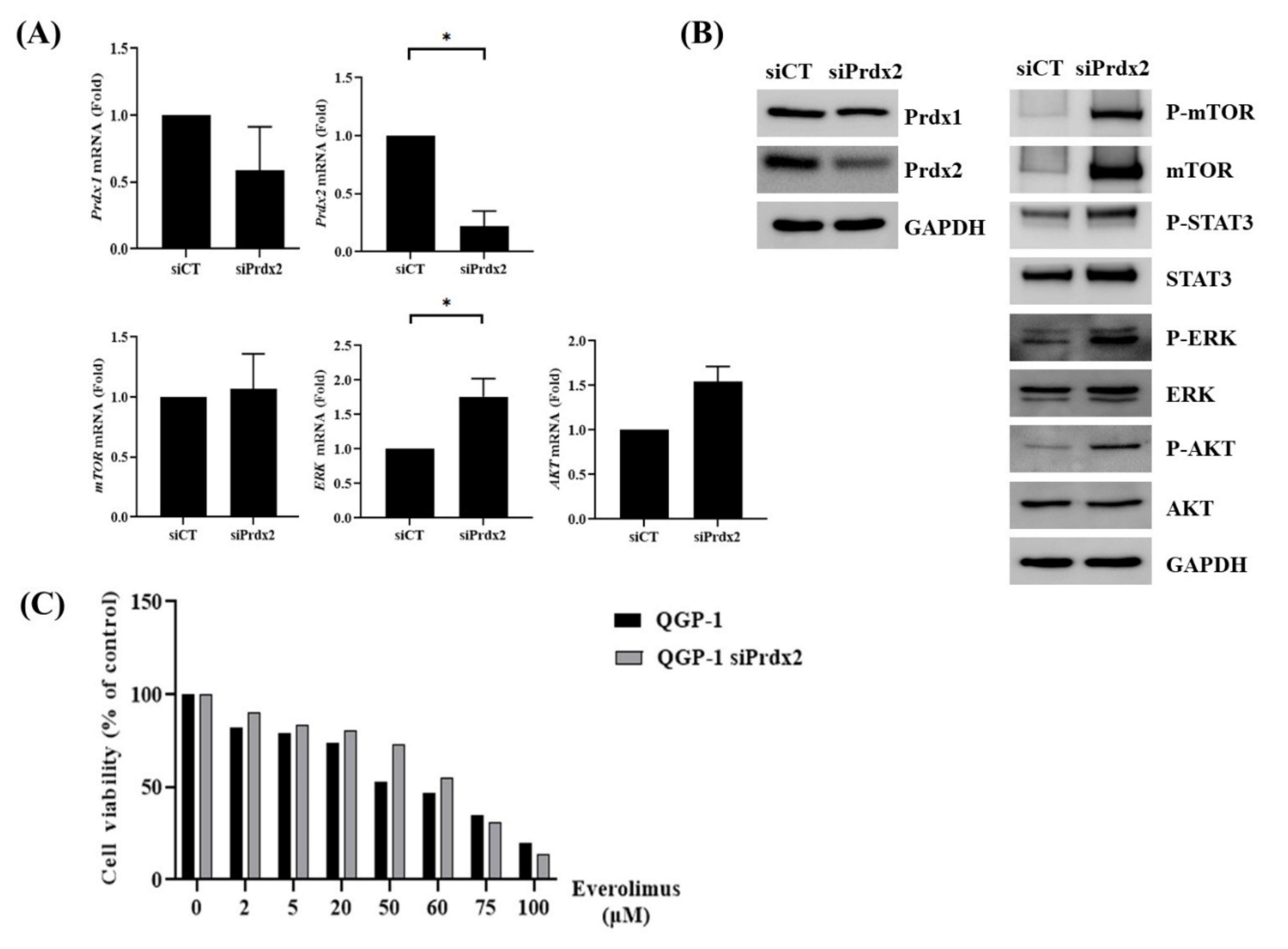 ki Upregulation of Peroxiredoxin-2 in Well-Differentiated