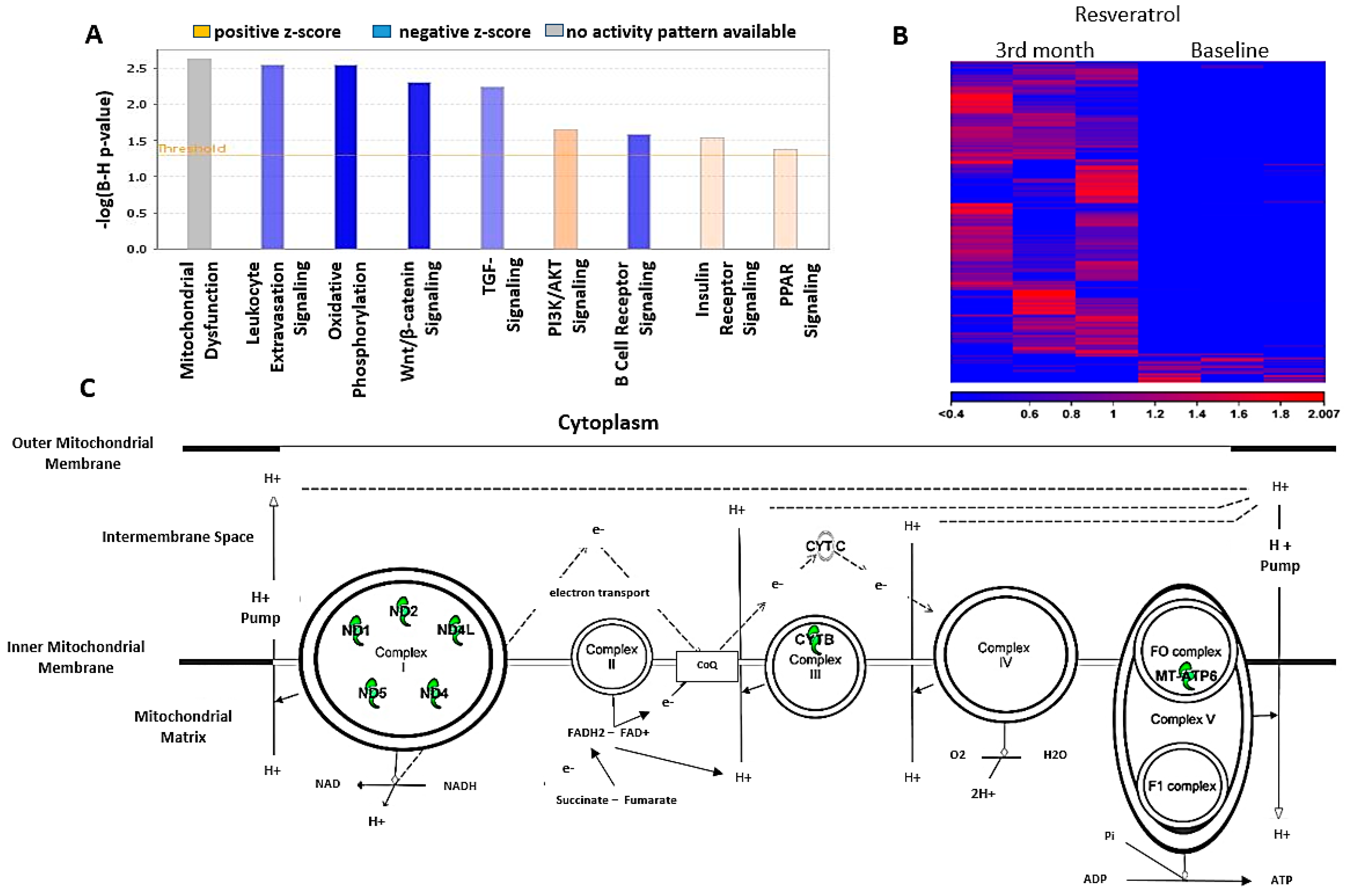 Antioxidants 09 01108 g005 Antioxidants 09 01108 g005