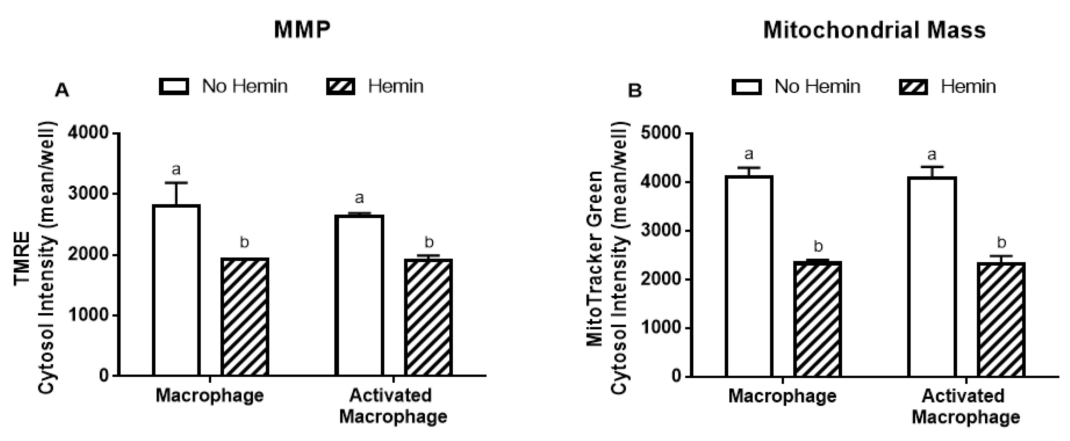 Antioxidants 09 01109 g005
