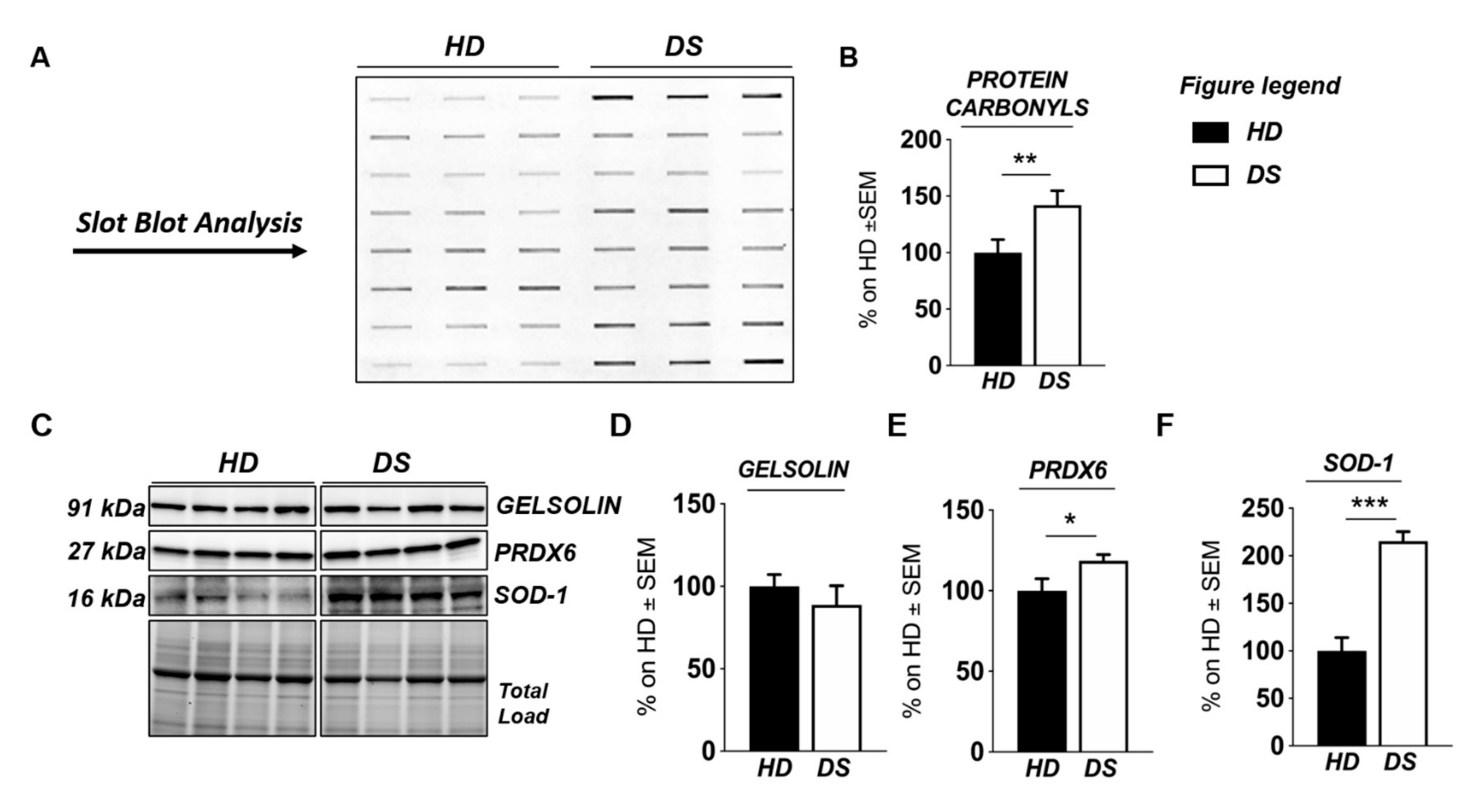 Antioxidants 09 01112 g004 Antioxidants 09 01112 g004