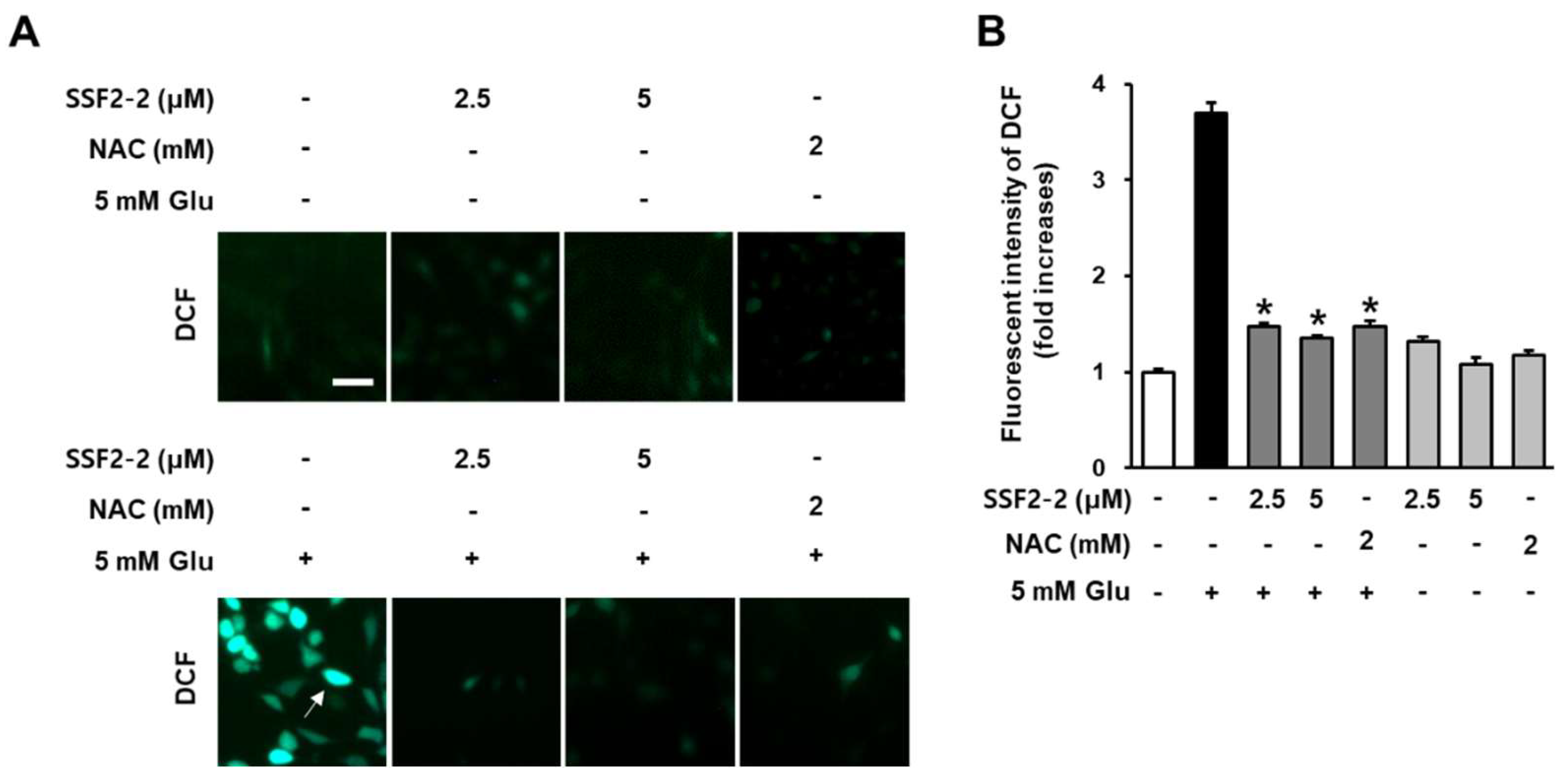Antioxidants 09 01115 g003 Antioxidants 09 01115 g003