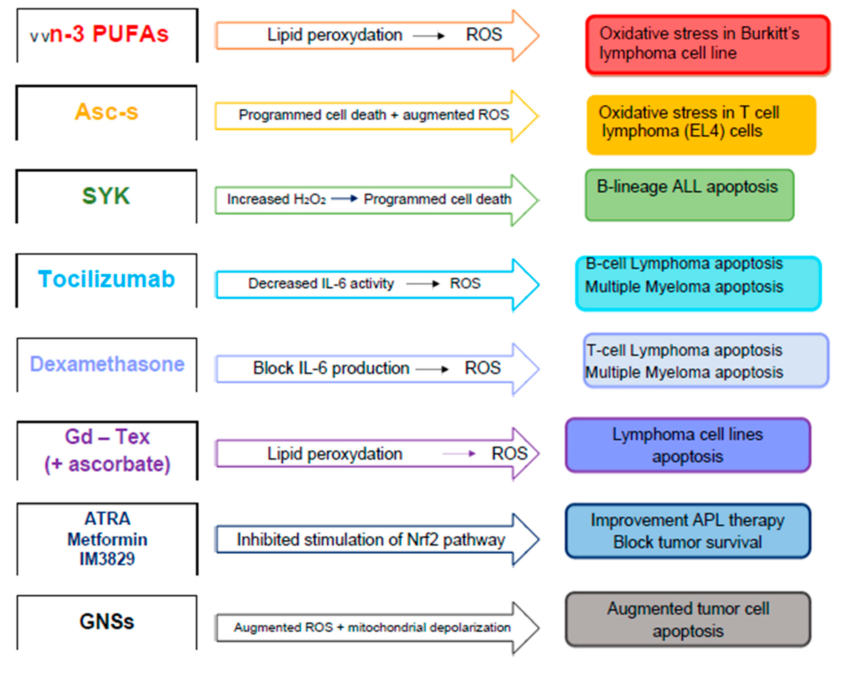 Antioxidants 09 01116 g002