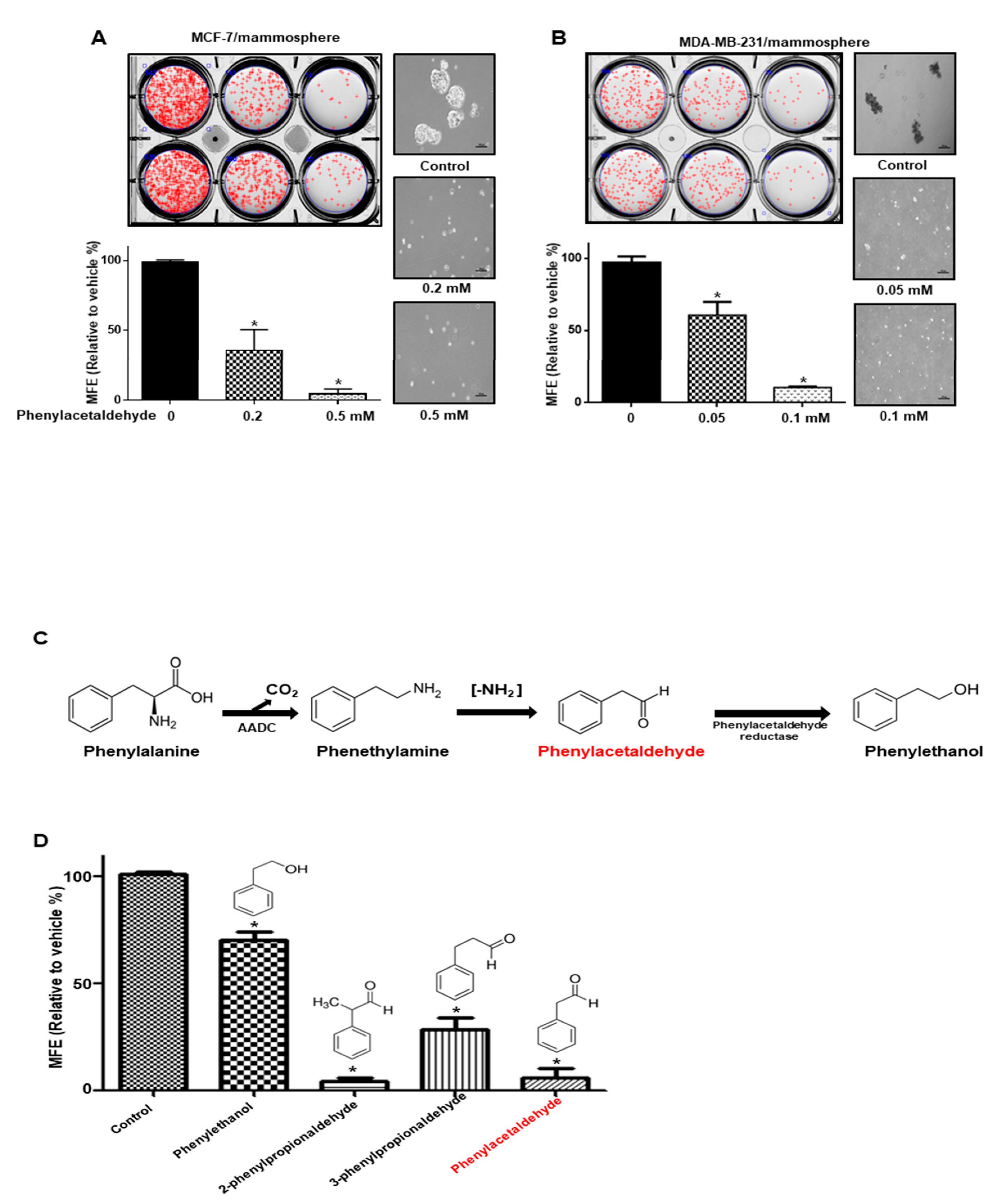 Antioxidants 09 01119 g003