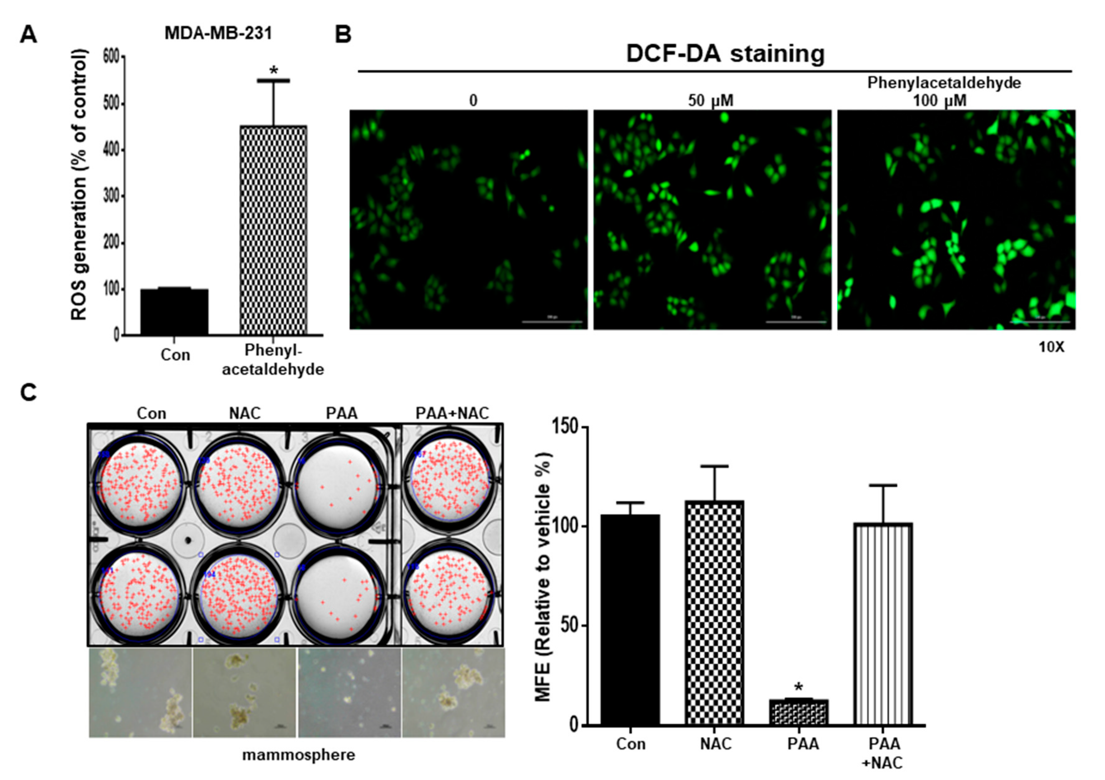 Antioxidants 09 01119 g006
