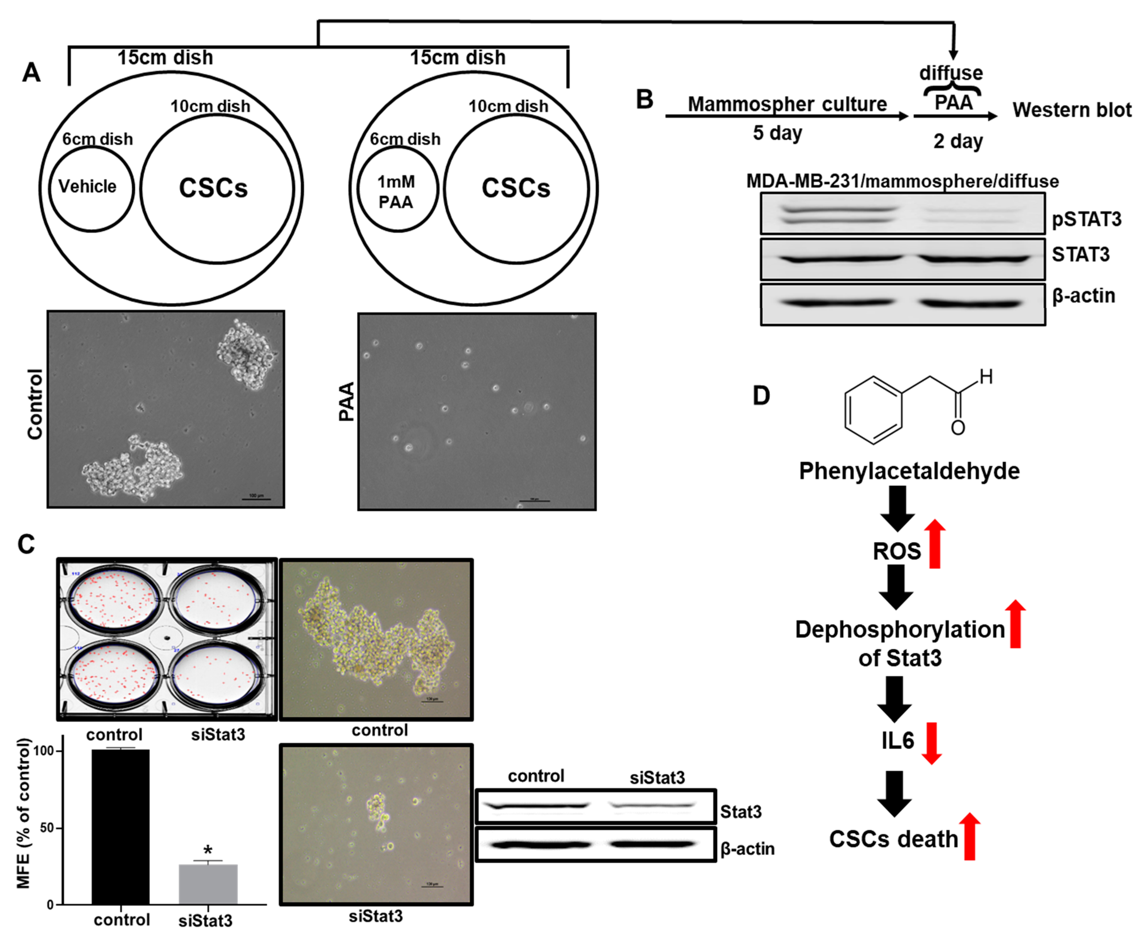 Antioxidants 09 01119 g008