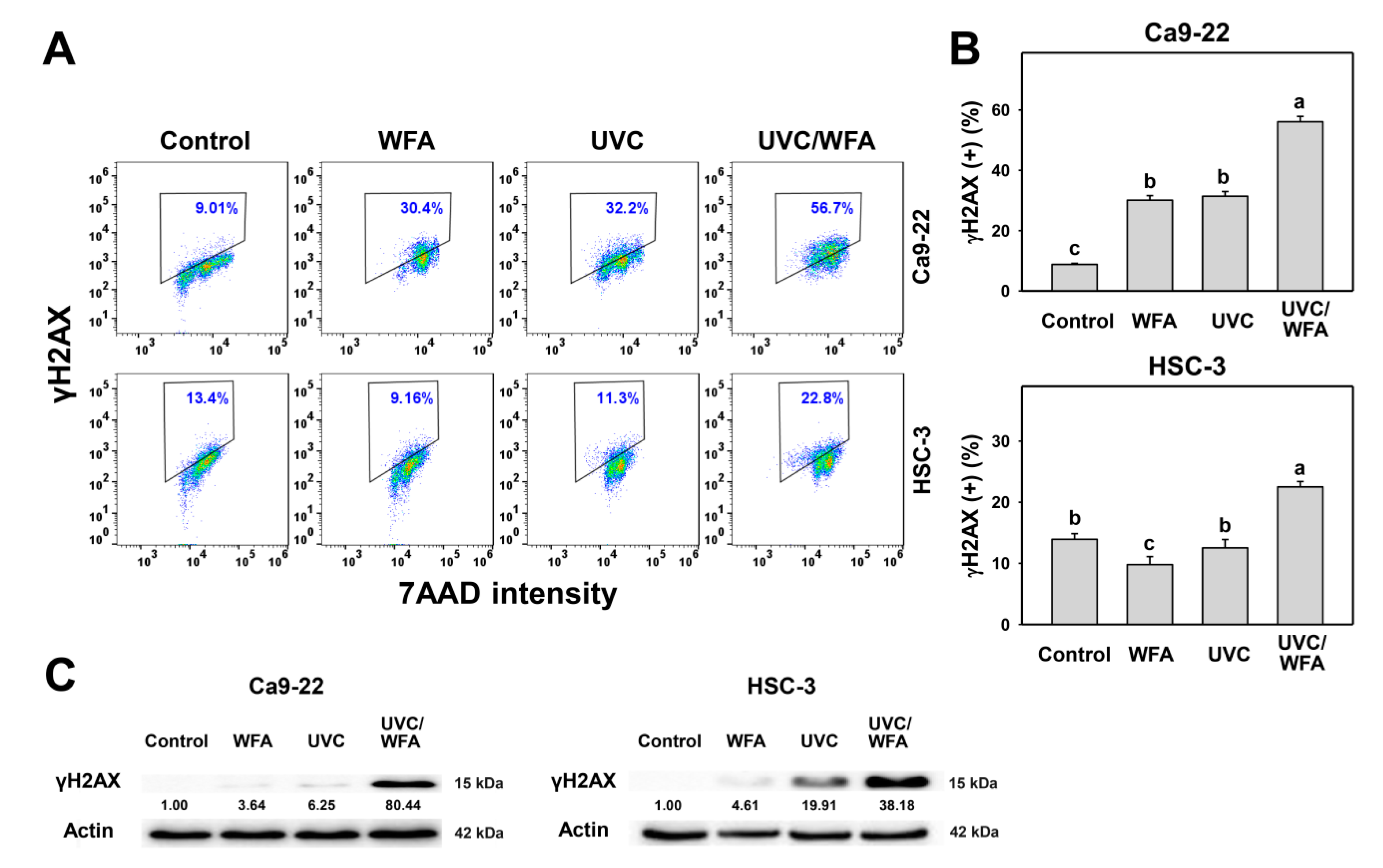 Antioxidants 09 01120 g008 Antioxidants 09 01120 g008