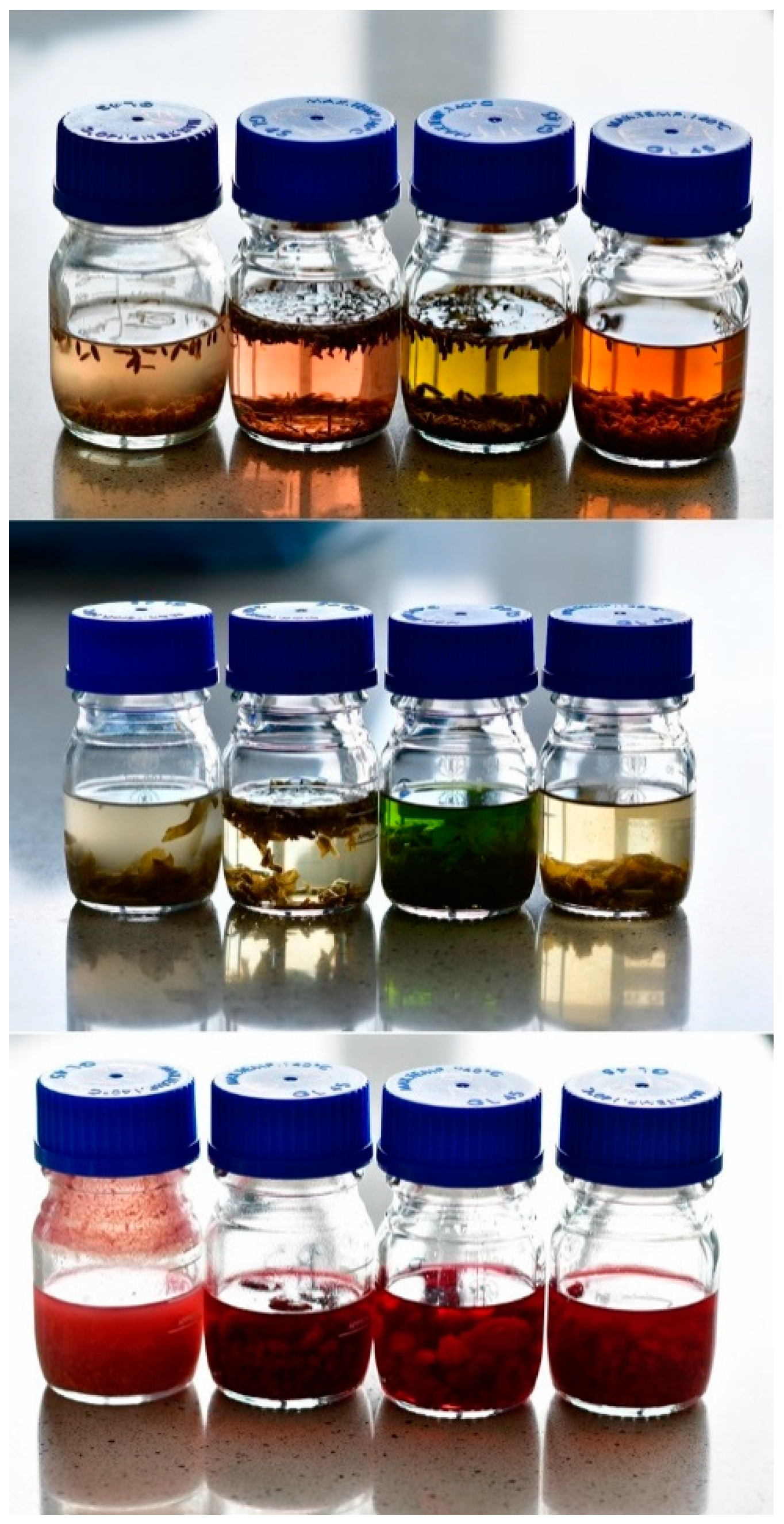 Antioxidants 09 01121 g001 Antioxidants 09 01121 g001