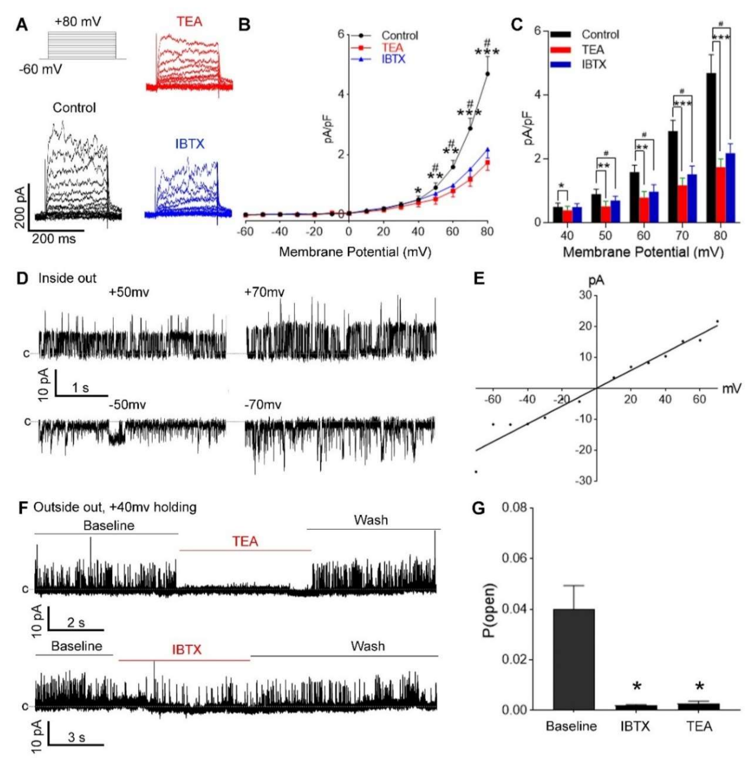 Antioxidants 09 01127 g002
