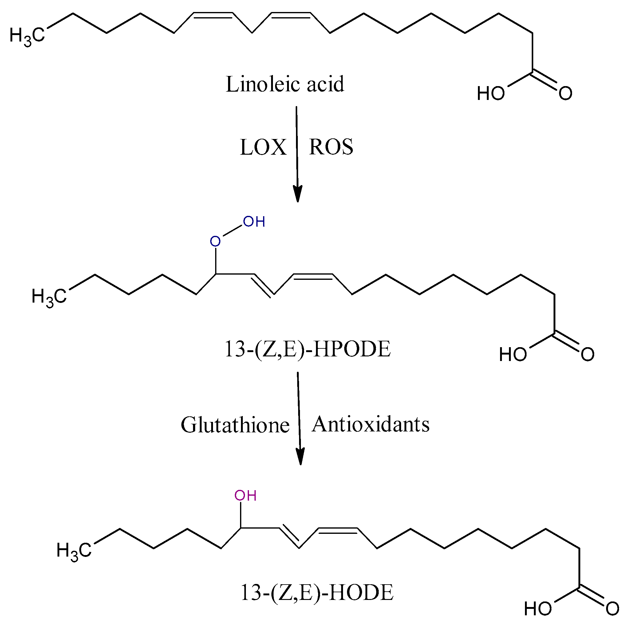 Antioxidants 09 01128 g002 Antioxidants 09 01128 g002
