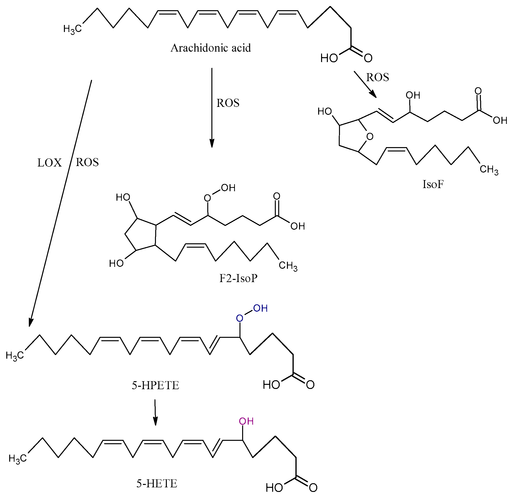 Antioxidants 09 01128 g003 Antioxidants 09 01128 g003