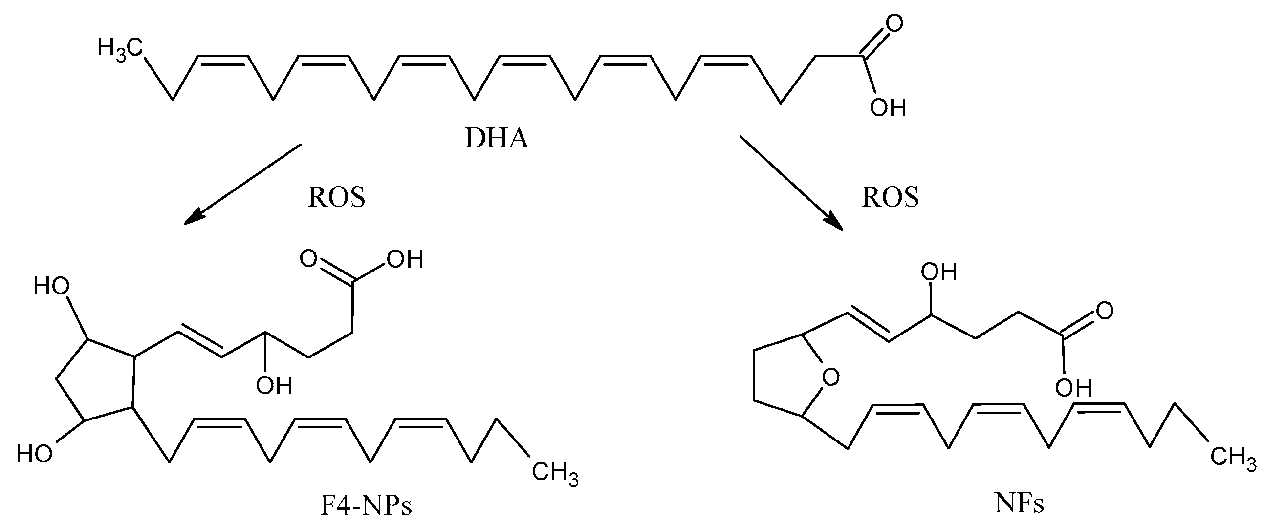 Antioxidants 09 01128 g004 Antioxidants 09 01128 g004
