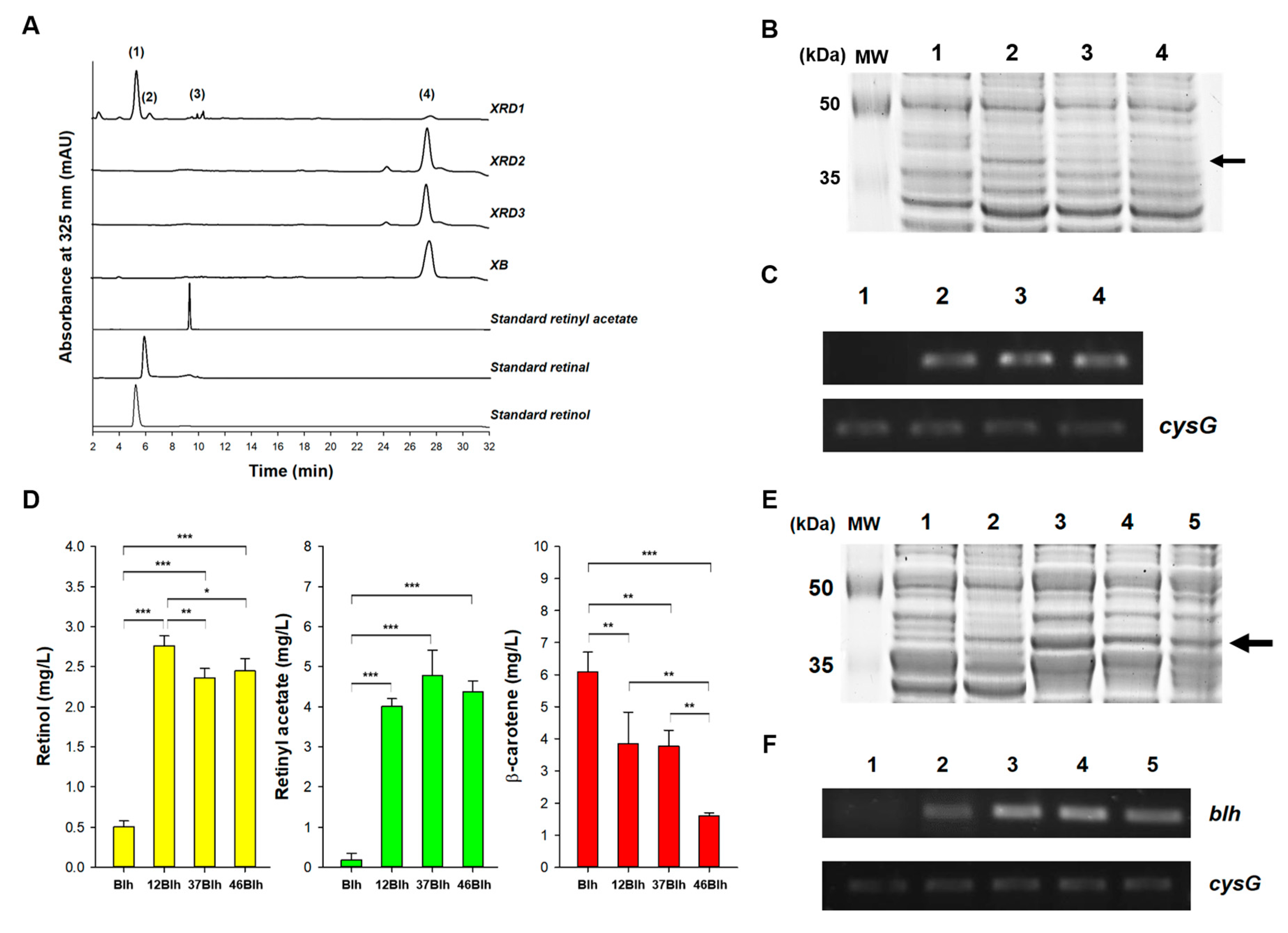 Antioxidants 09 01130 g002