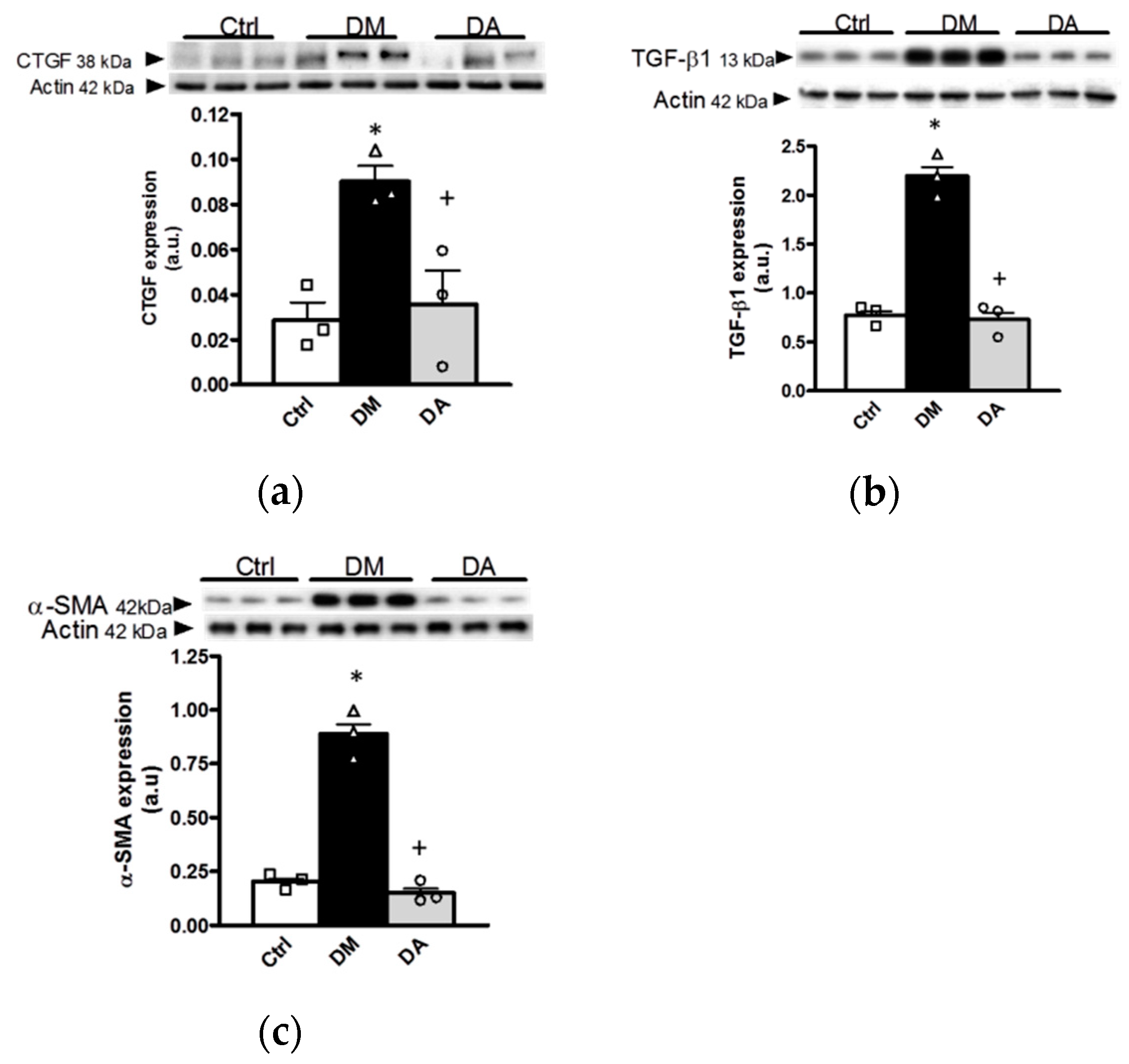 Antioxidants 09 01134 g006 Antioxidants 09 01134 g006