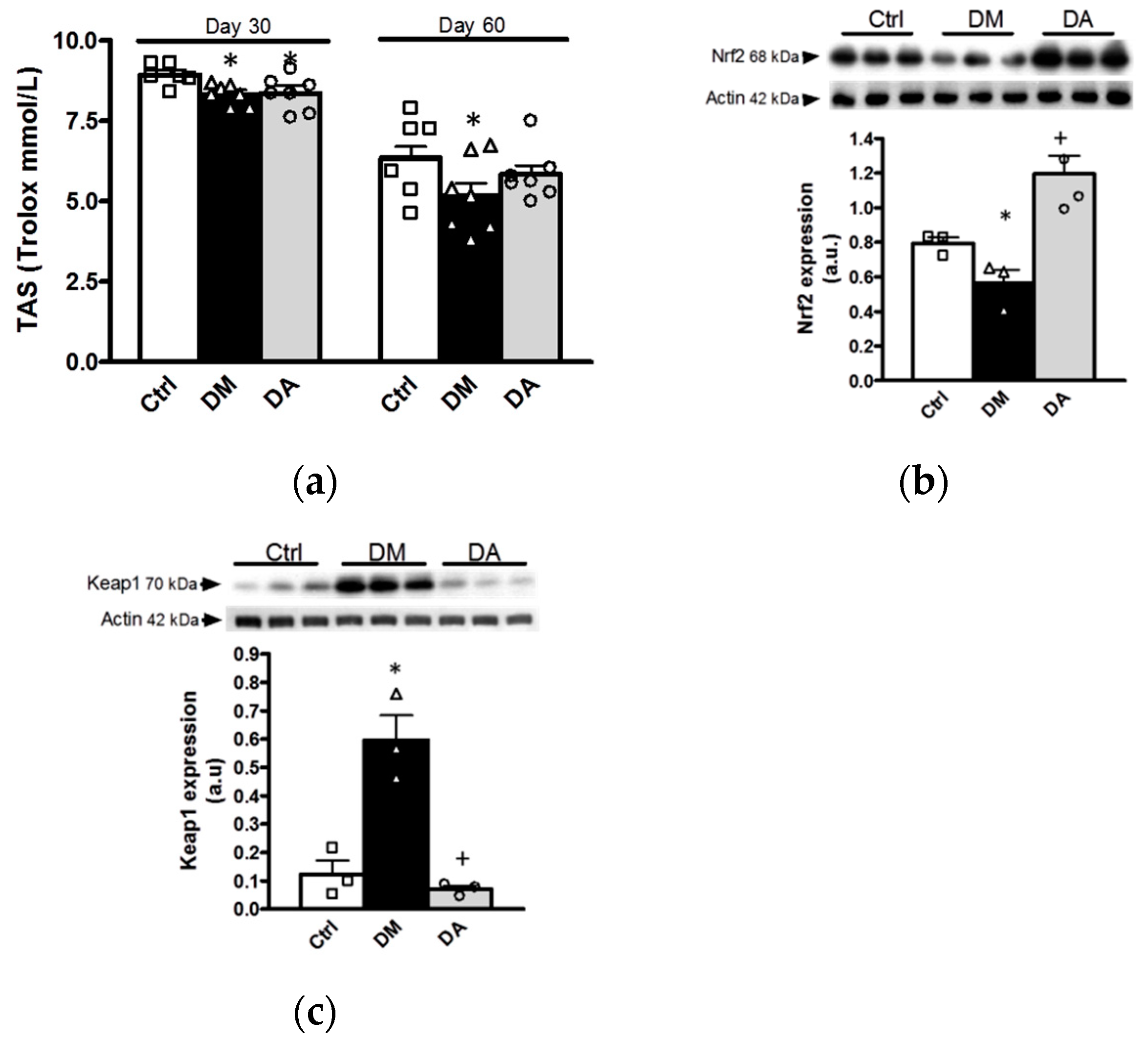 Antioxidants 09 01134 g007 Antioxidants 09 01134 g007