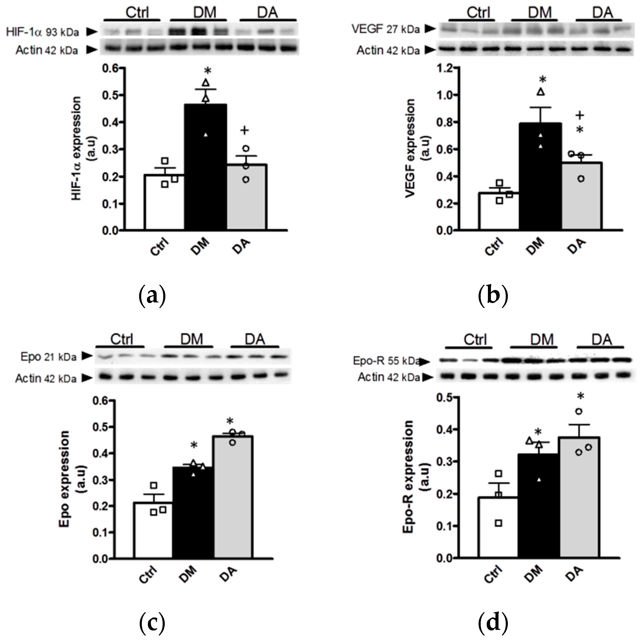 Antioxidants 09 01134 g008 Antioxidants 09 01134 g008