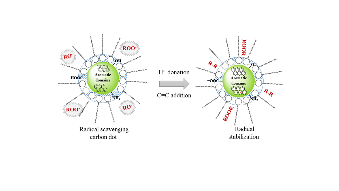 Antioxidants Free FullText Synthesis and Characterization of Green Carbon Dots for