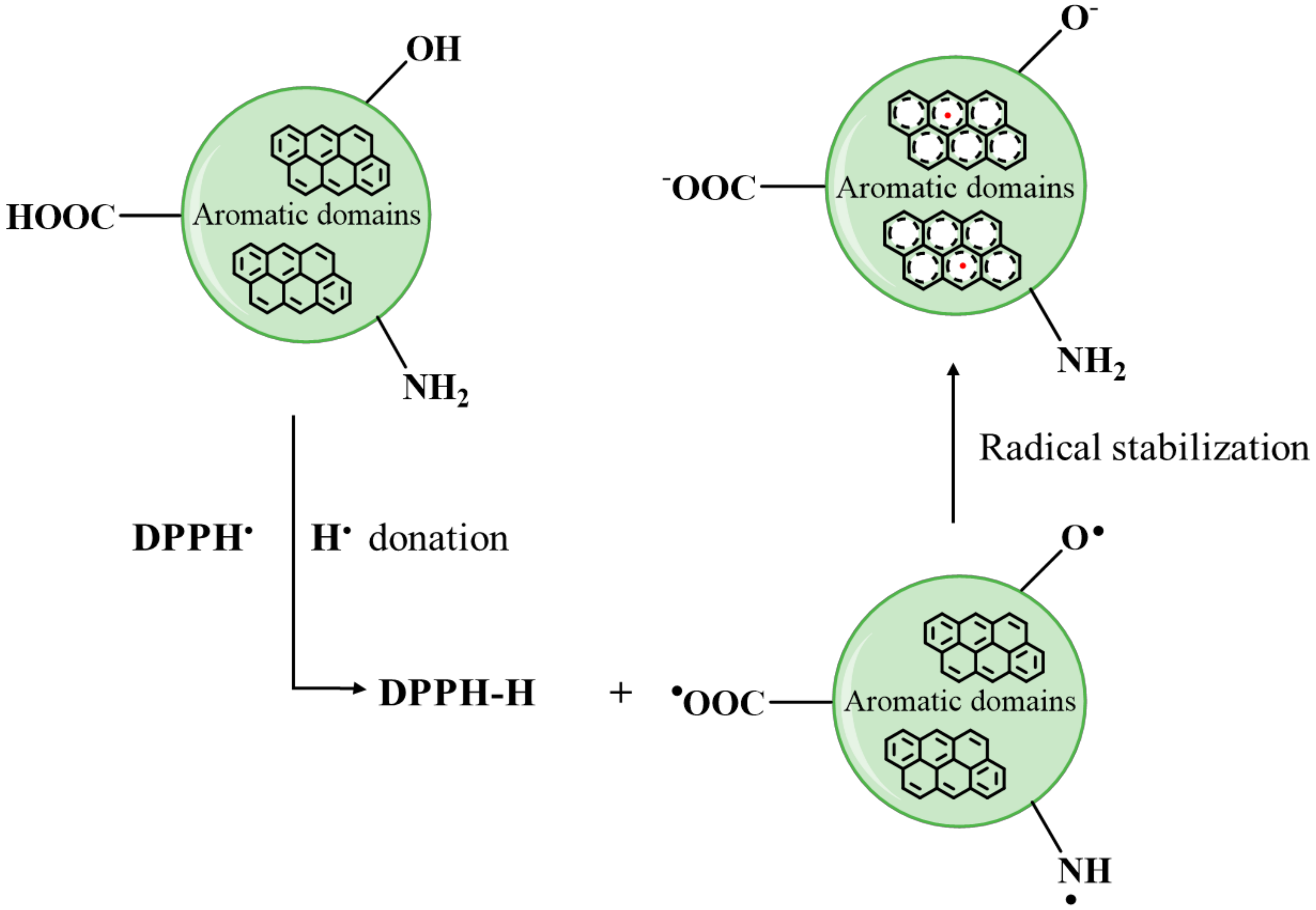 Antioxidants 09 01147 g007